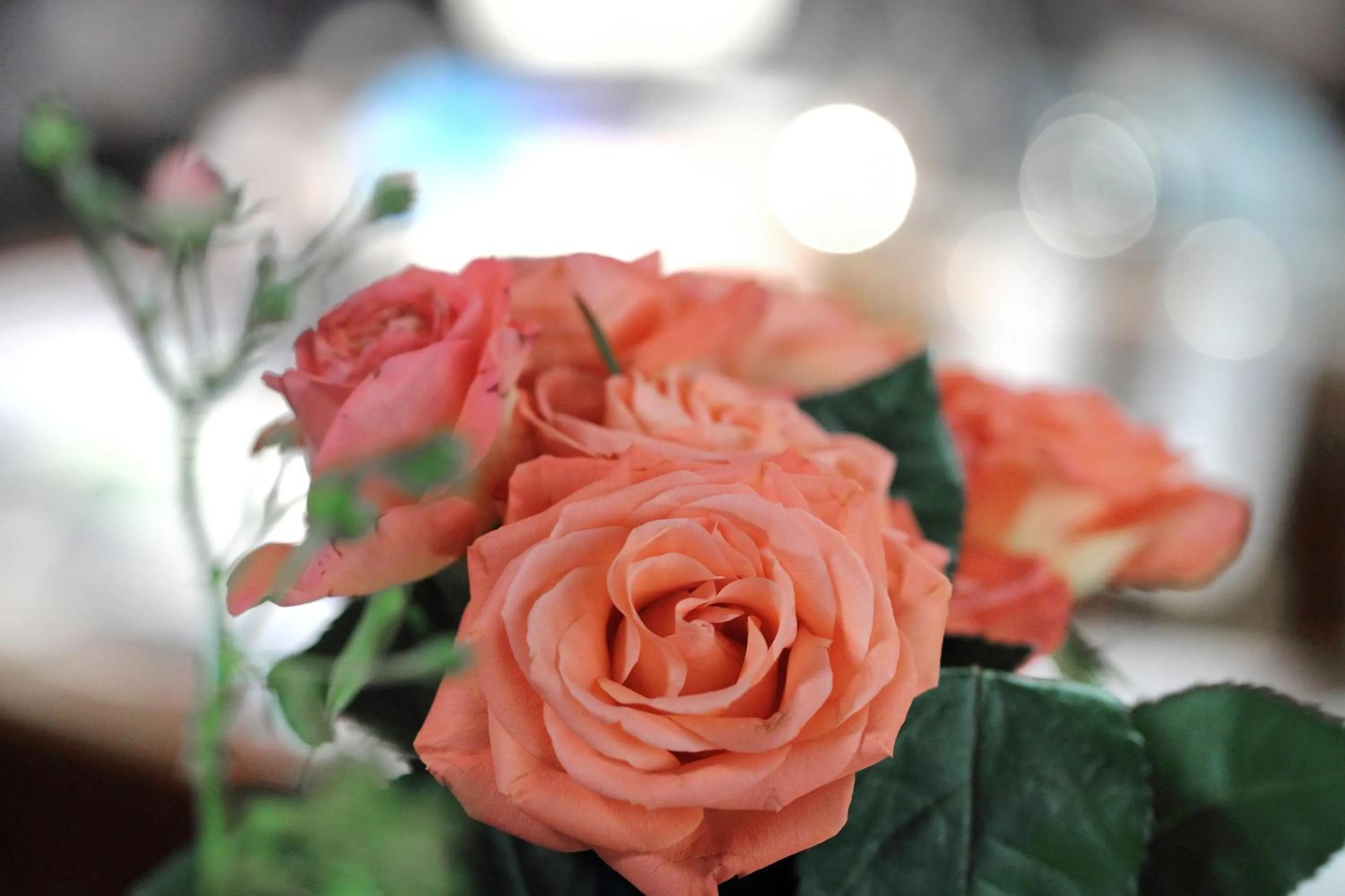 Other in Hotel-Restaurant Roter Ochsen