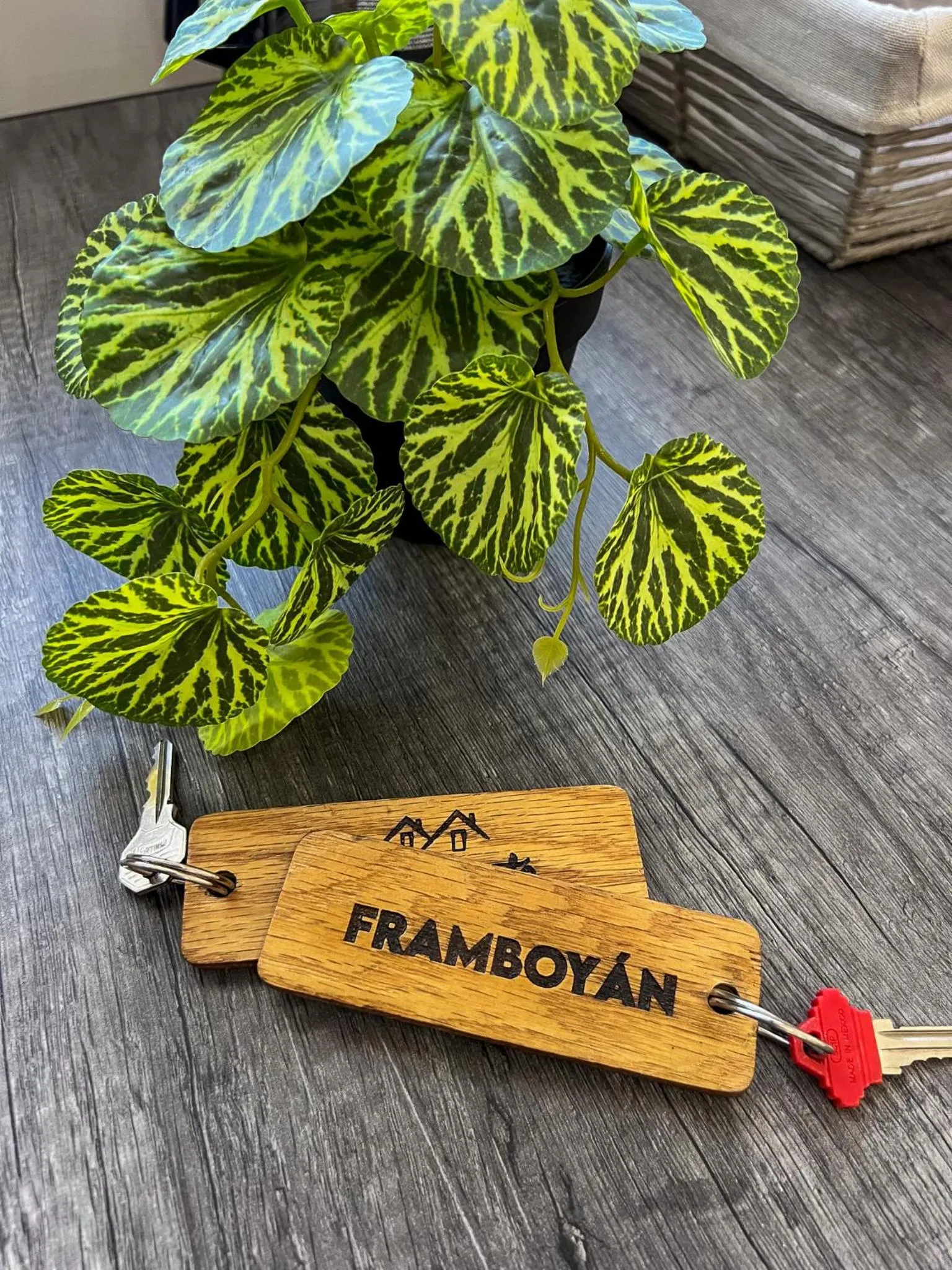 Text overlay in VILLAS EL ENCANTO