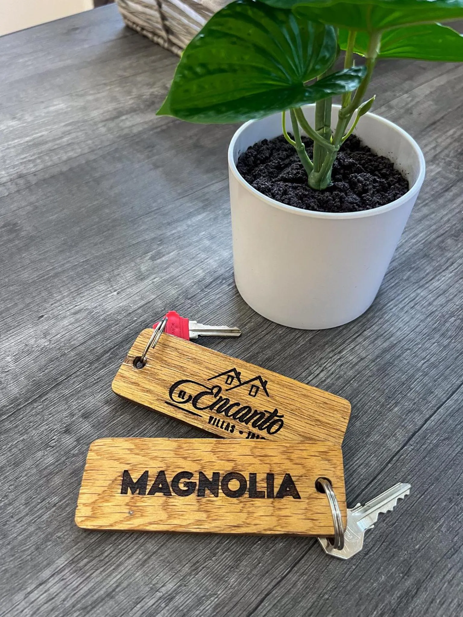 Text overlay in VILLAS EL ENCANTO