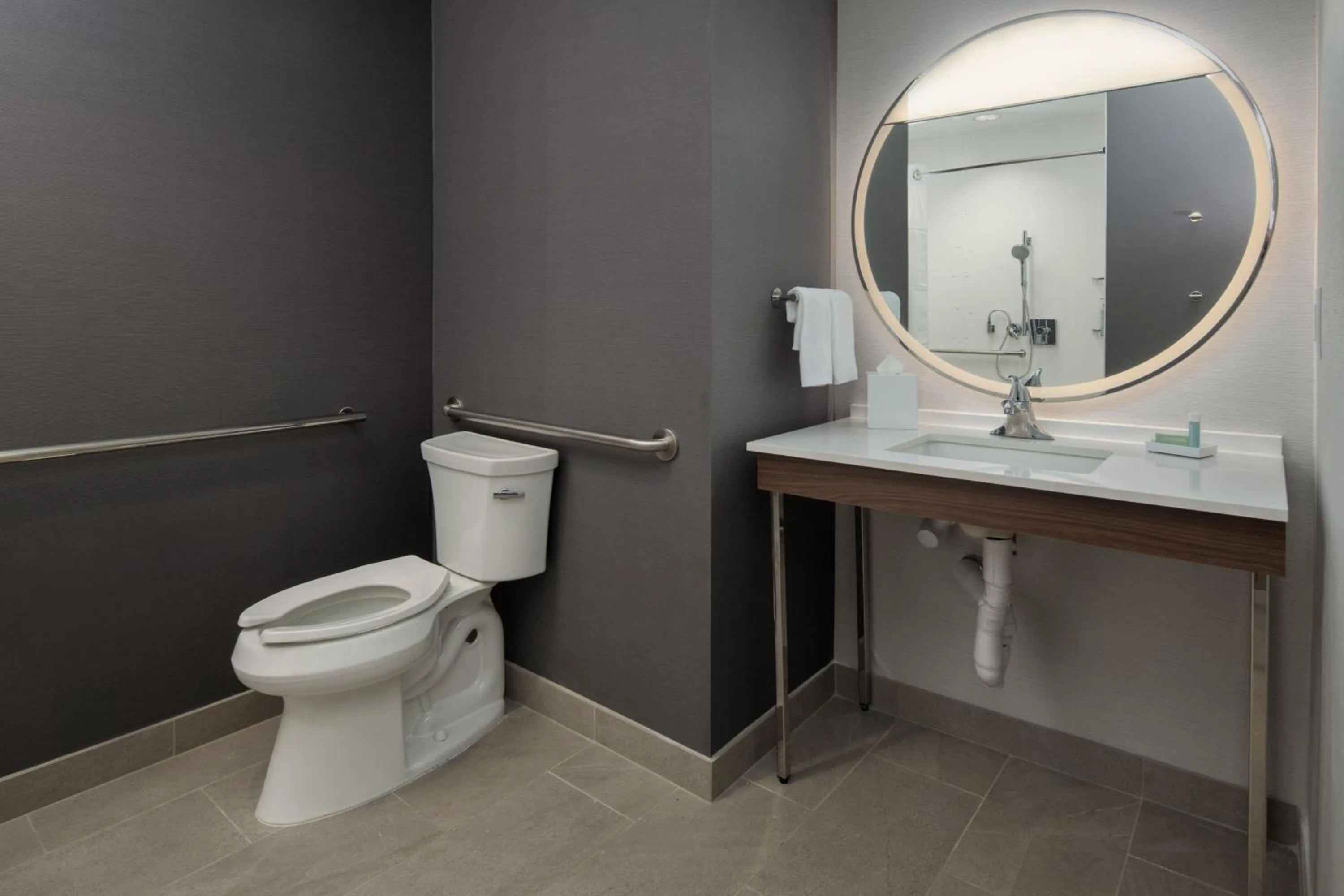 Bathroom in Courtyard by Marriott Santa Cruz