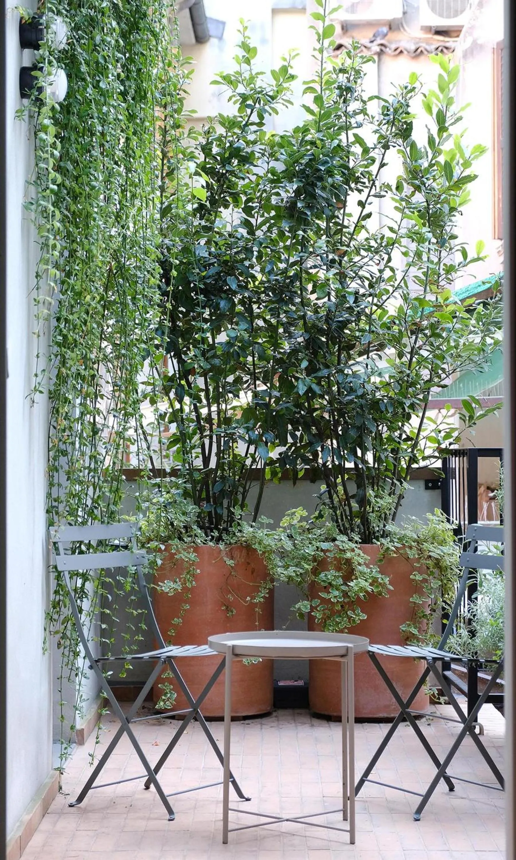 Patio in Locanda La Concia