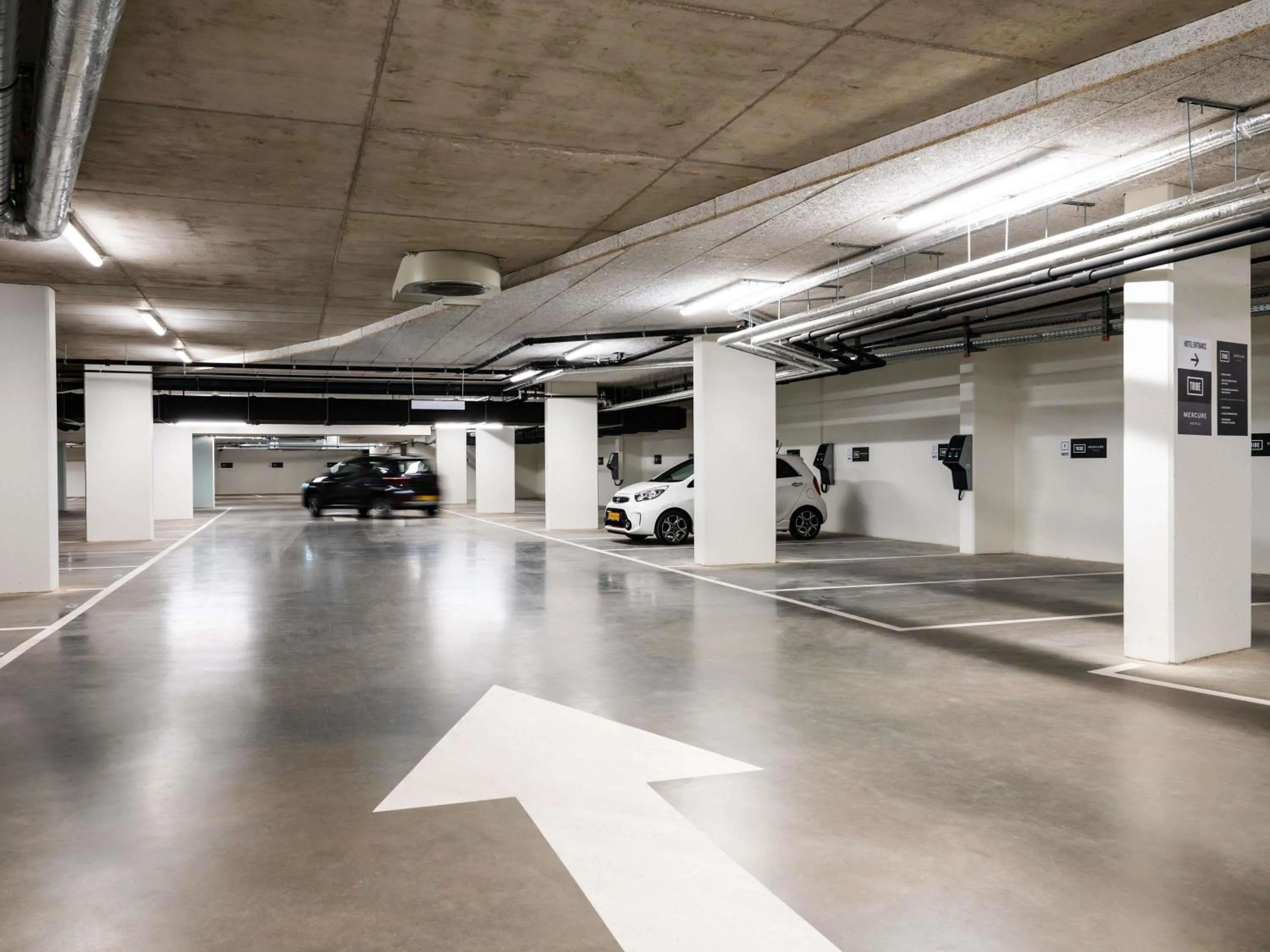 Other in Tribe Amsterdam City