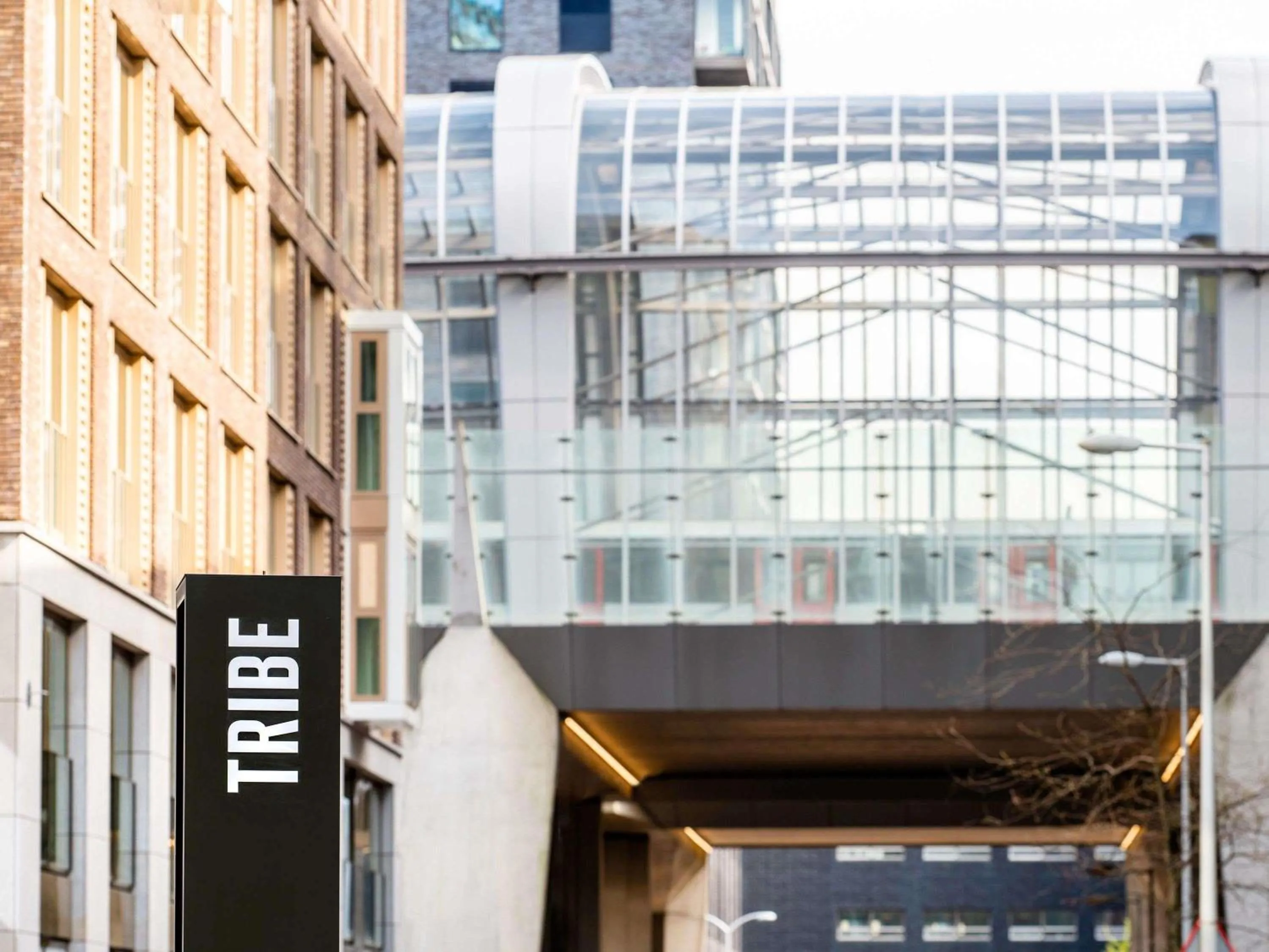 Other in Tribe Amsterdam City