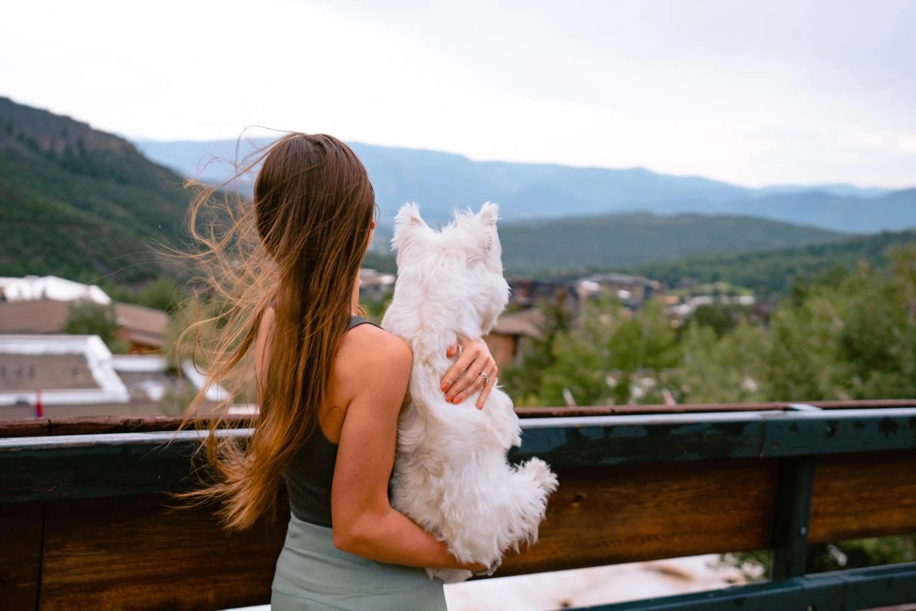 Pets in Wildwood Snowmass