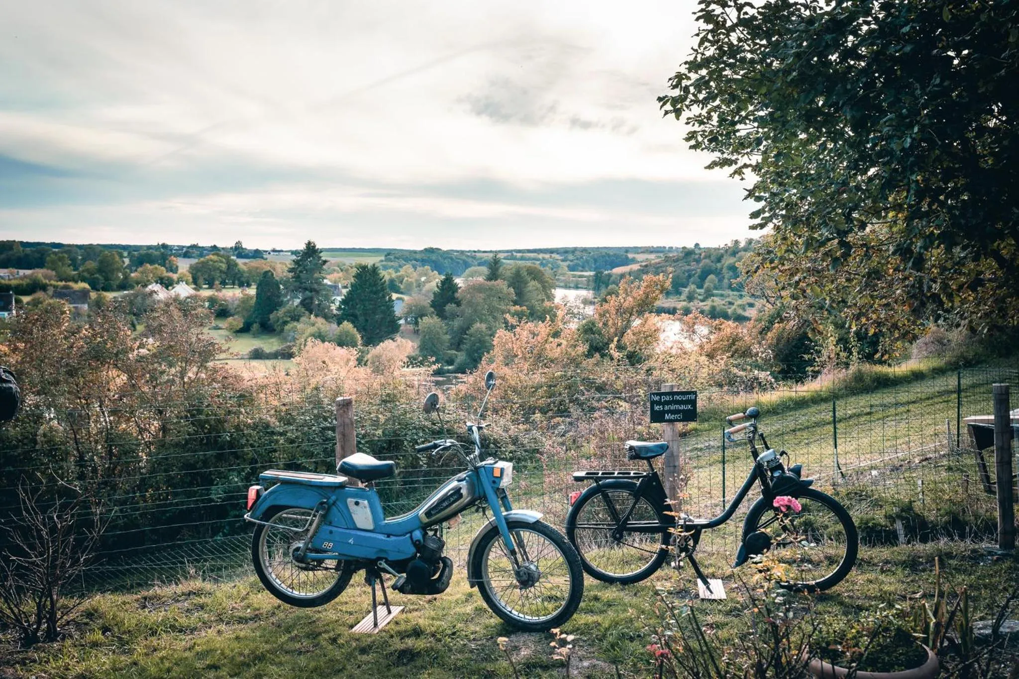 La Maison au Bord du Lac