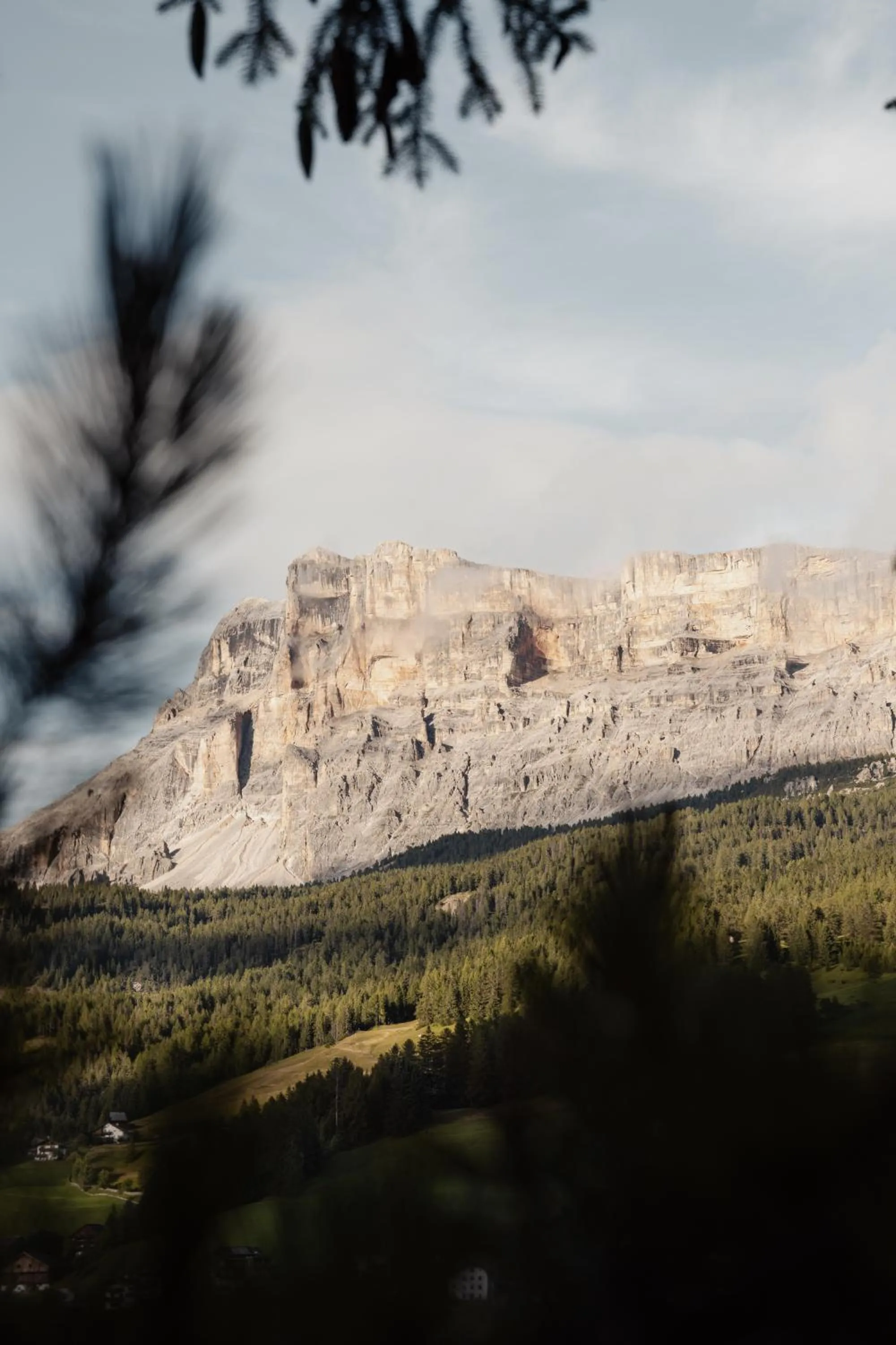 Sportony Mountain Lodges