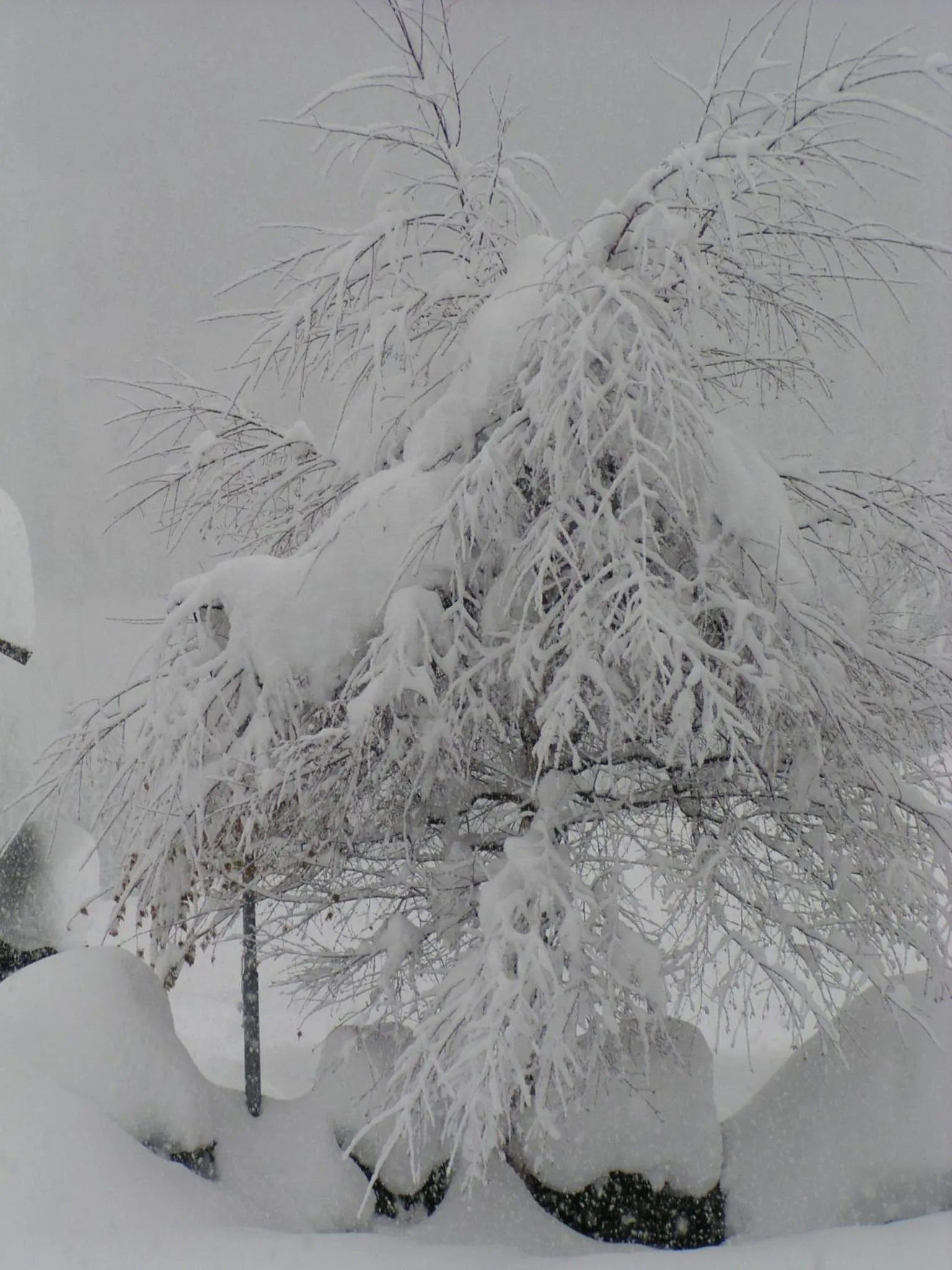 Area and facilities in Apartments Residence Alta Badia