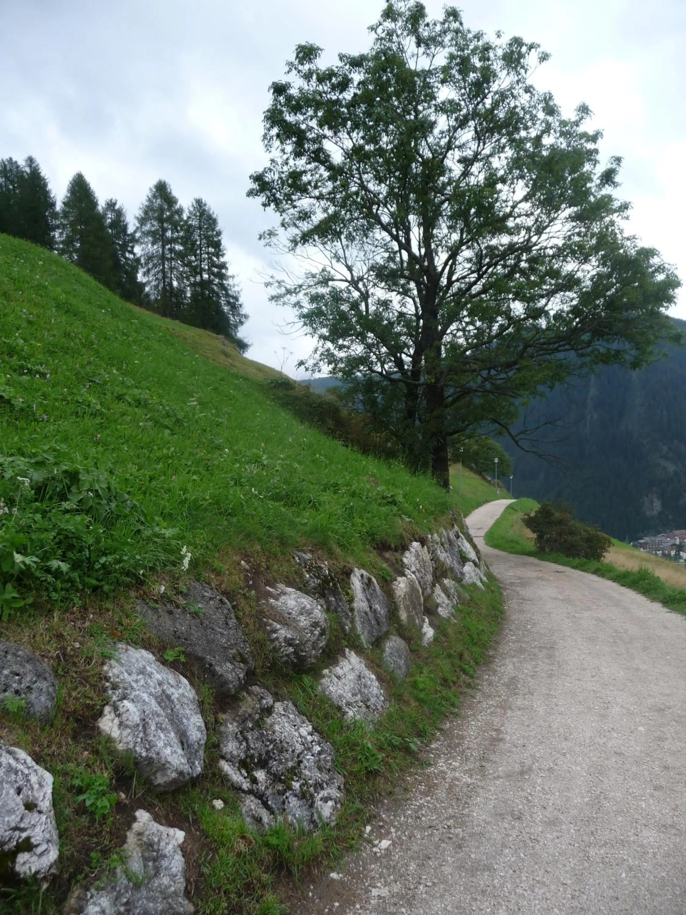 Area and facilities in Apartments Residence Alta Badia