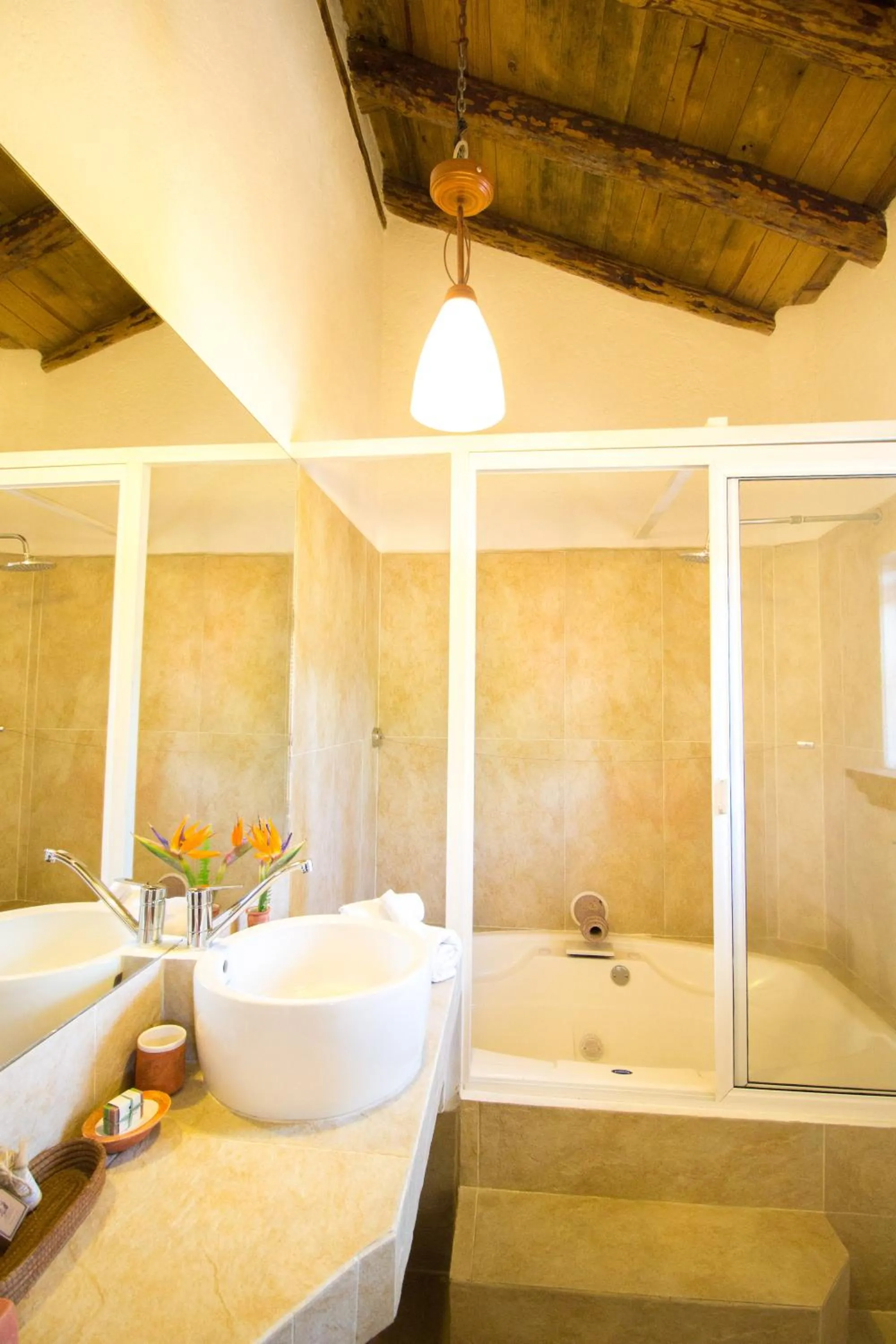 Shower in Mesón De Leyendas Breakfast & Downtown