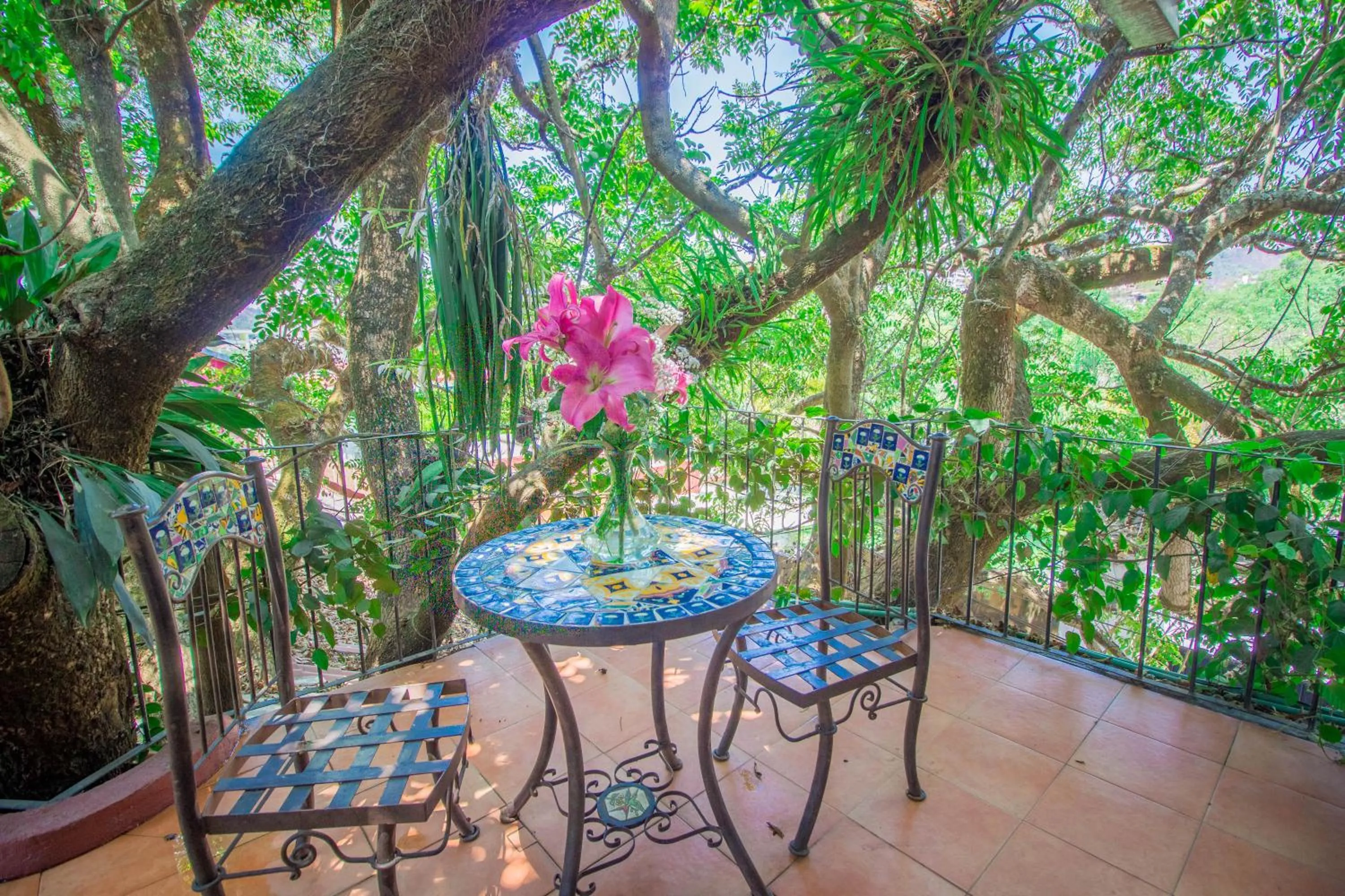 Spring in Mesón De Leyendas Breakfast & Downtown