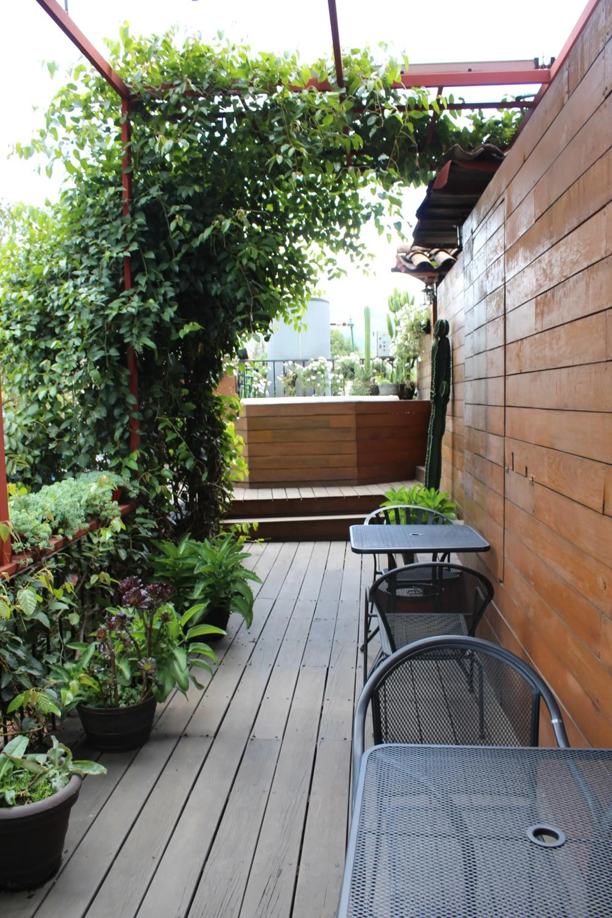 Garden in Mesón De Leyendas Breakfast & Downtown