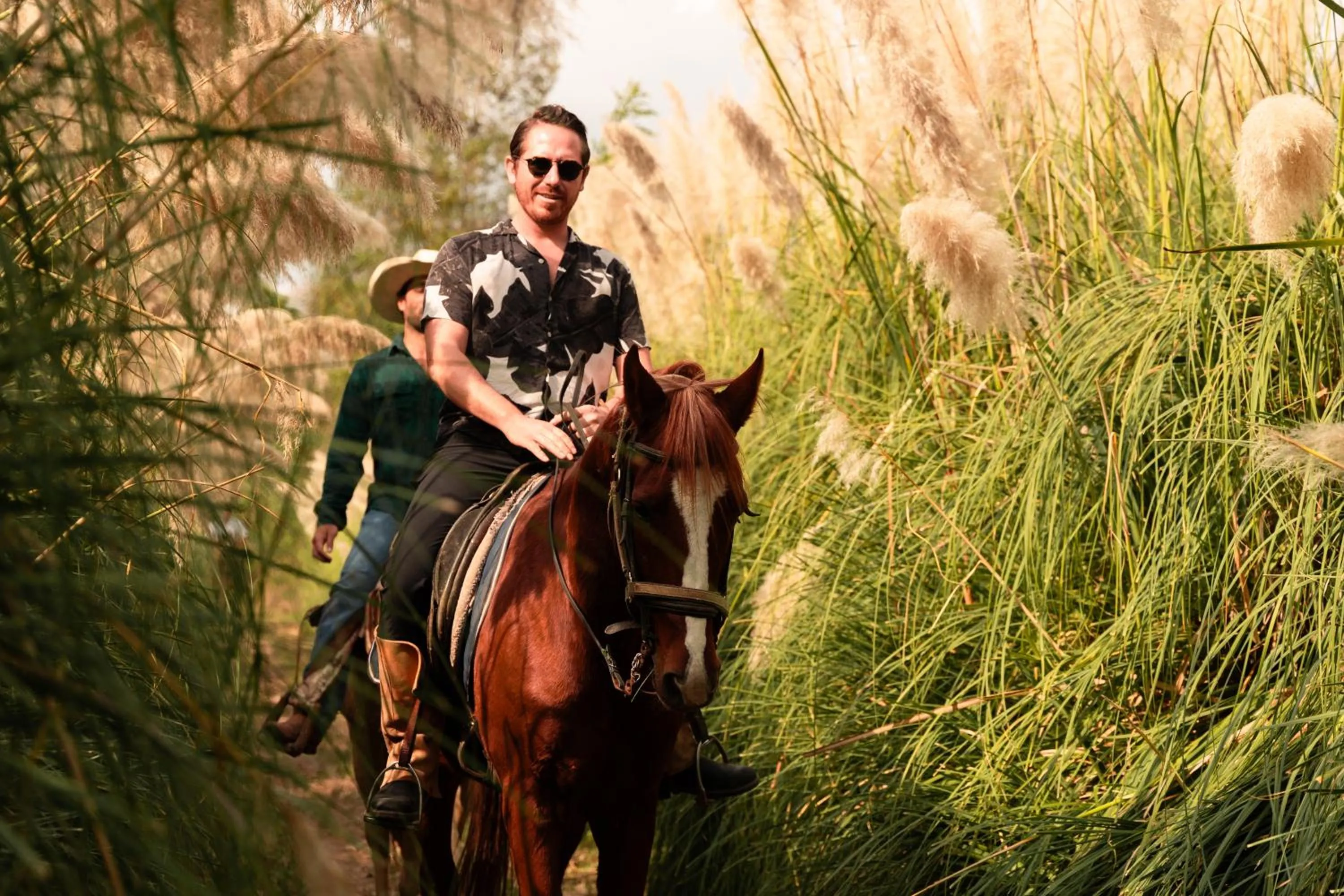 Horse-riding in Mesón De Leyendas Breakfast & Downtown