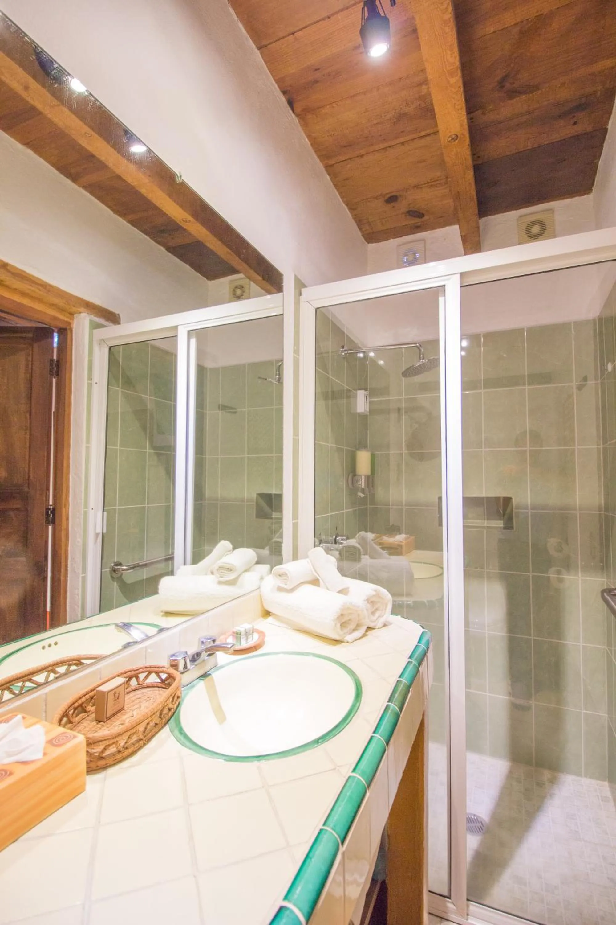 Shower in Mesón De Leyendas Breakfast & Downtown