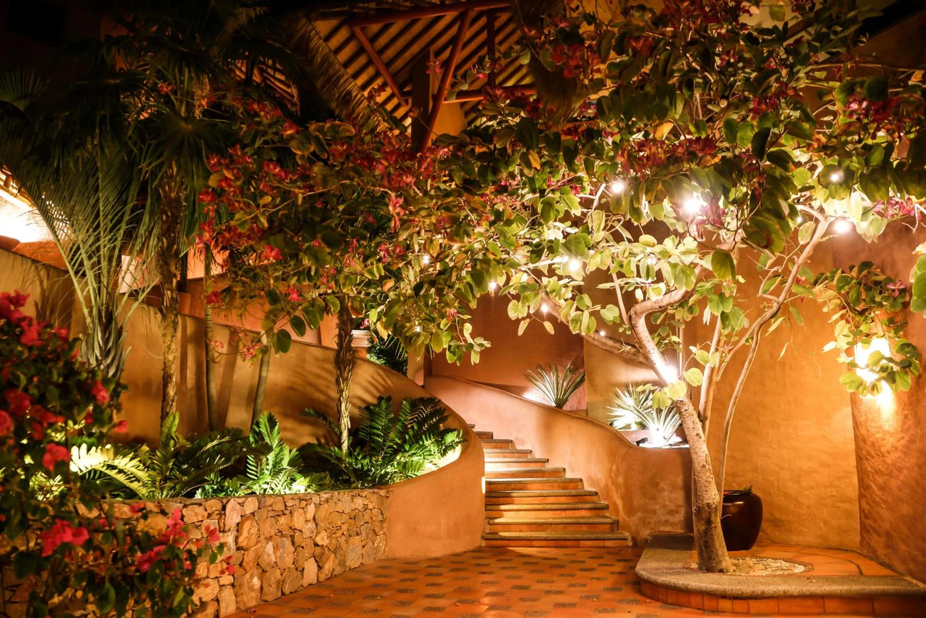 Garden in La Casa Que Canta