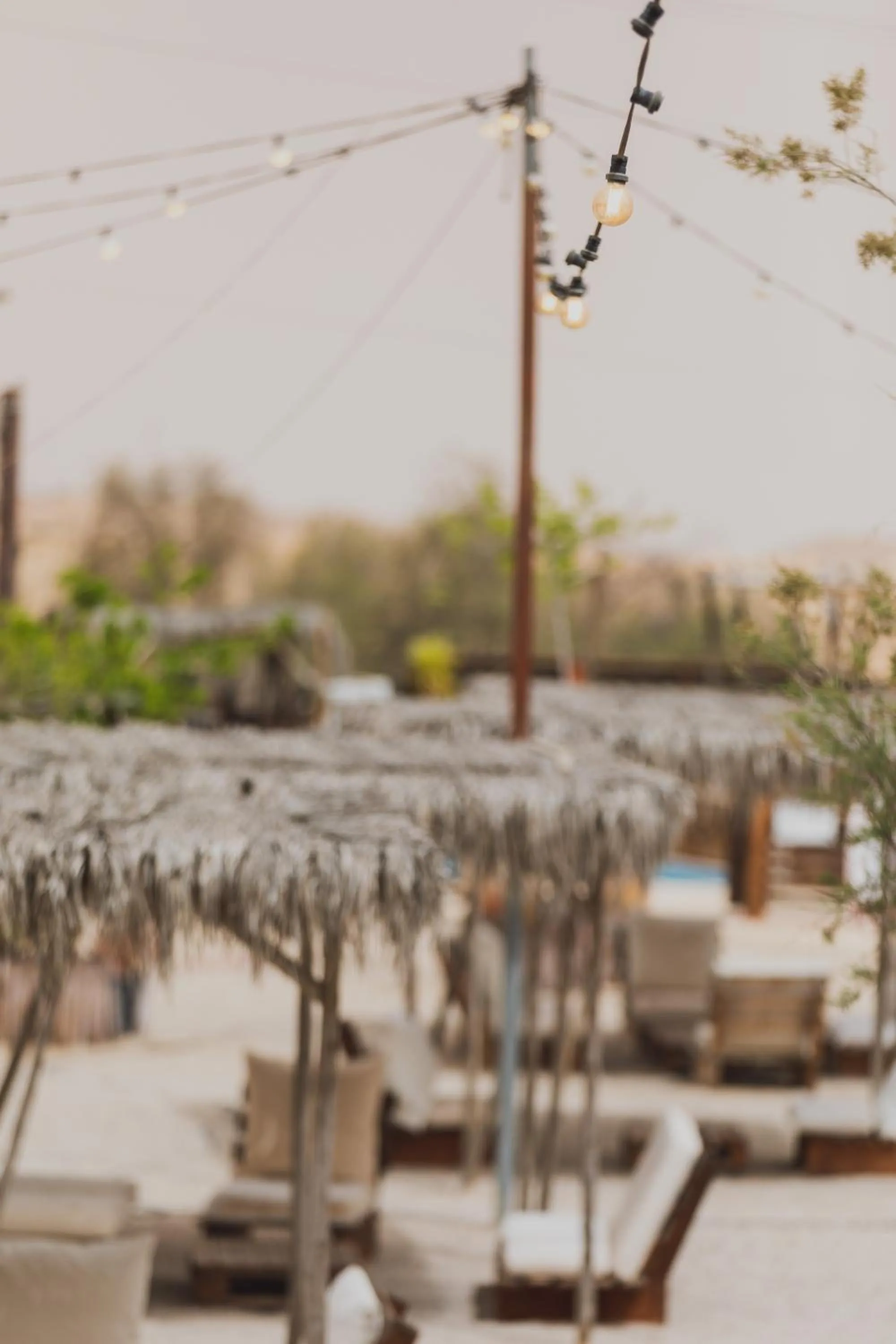 Garden in Jacob Mitzpe Ramon