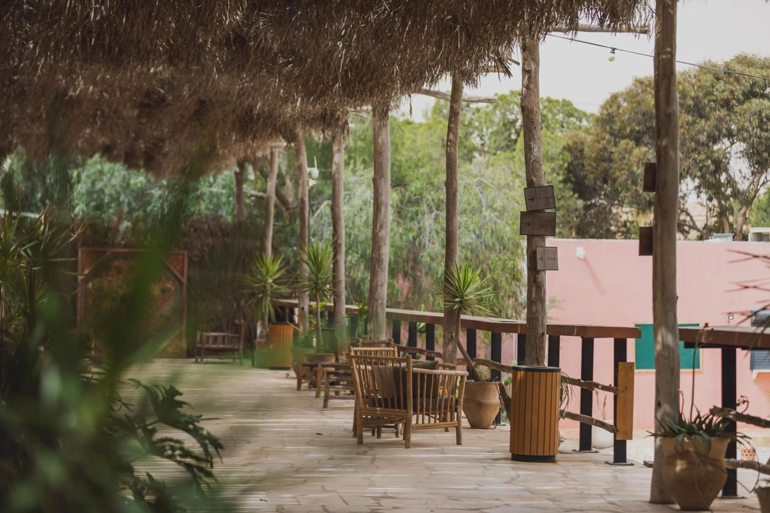 Garden in Jacob Mitzpe Ramon