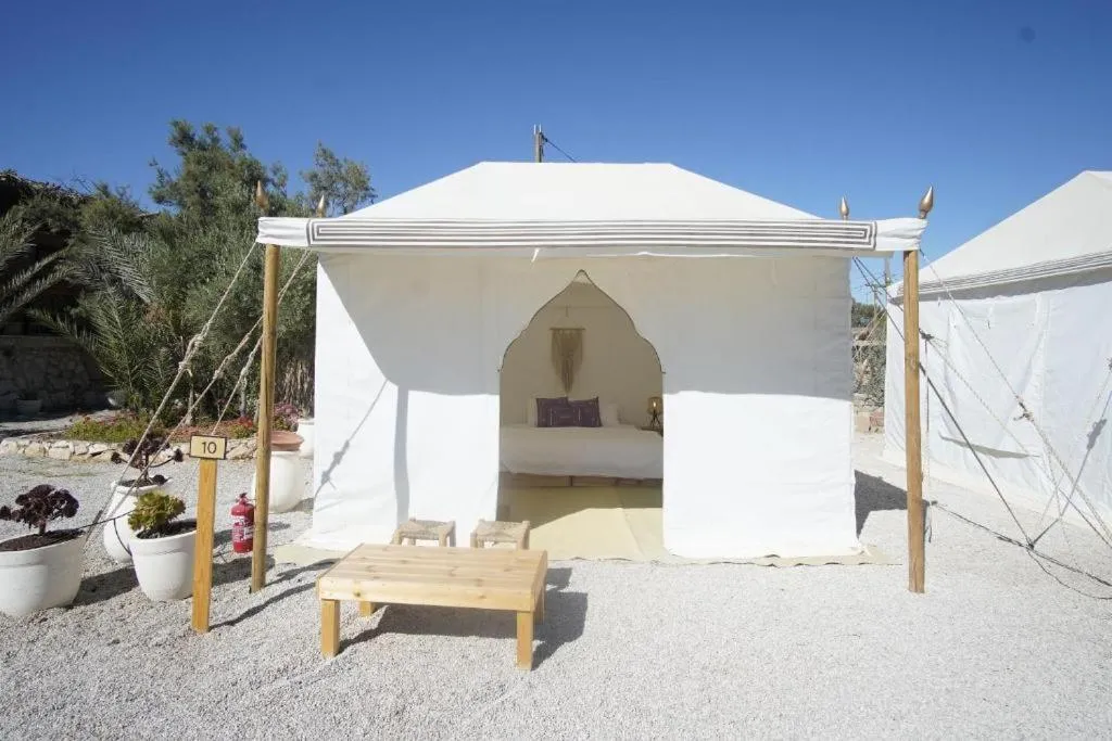 Selina Desert Garden Ramon