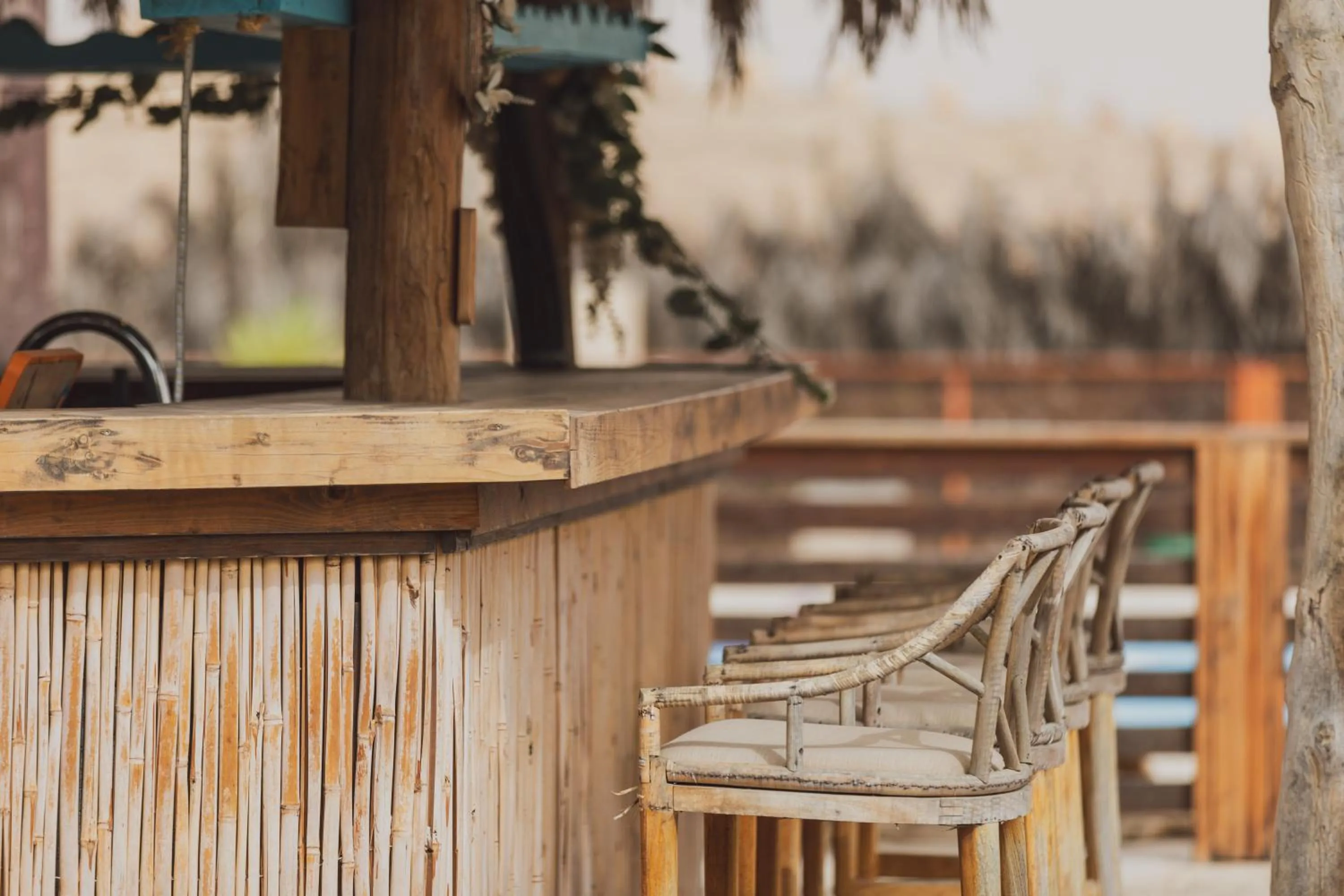 Day in Jacob Mitzpe Ramon