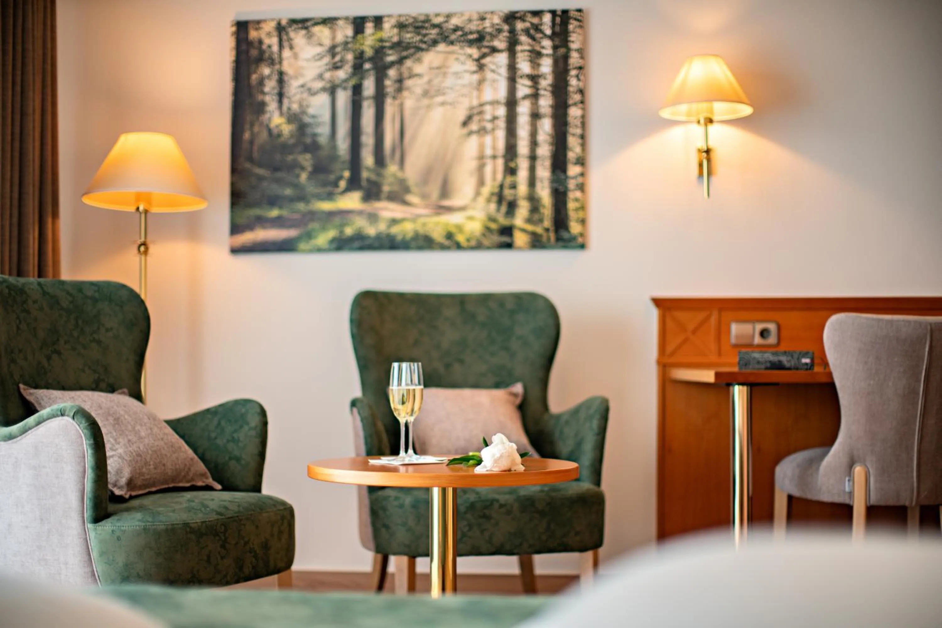 Photo of the whole room in Möhringers Schwarzwald Hotel