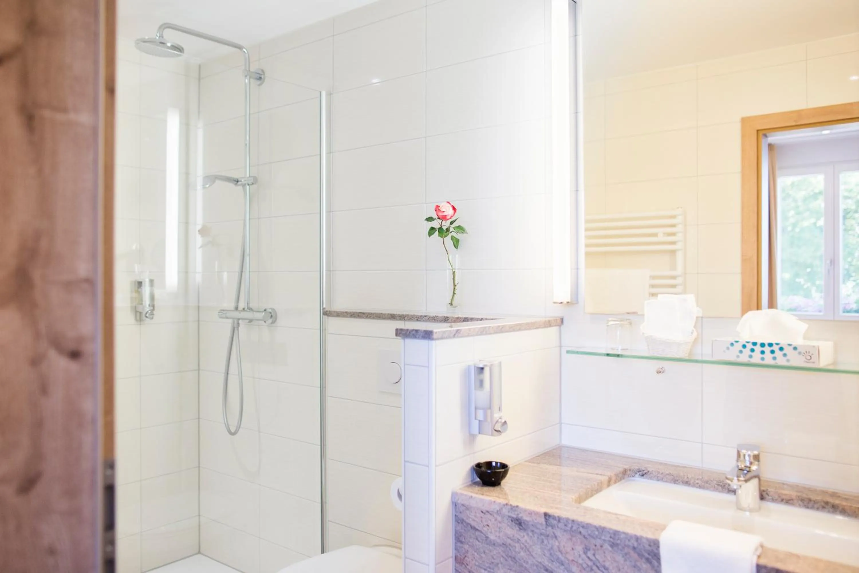 Bathroom in Möhringers Schwarzwald Hotel