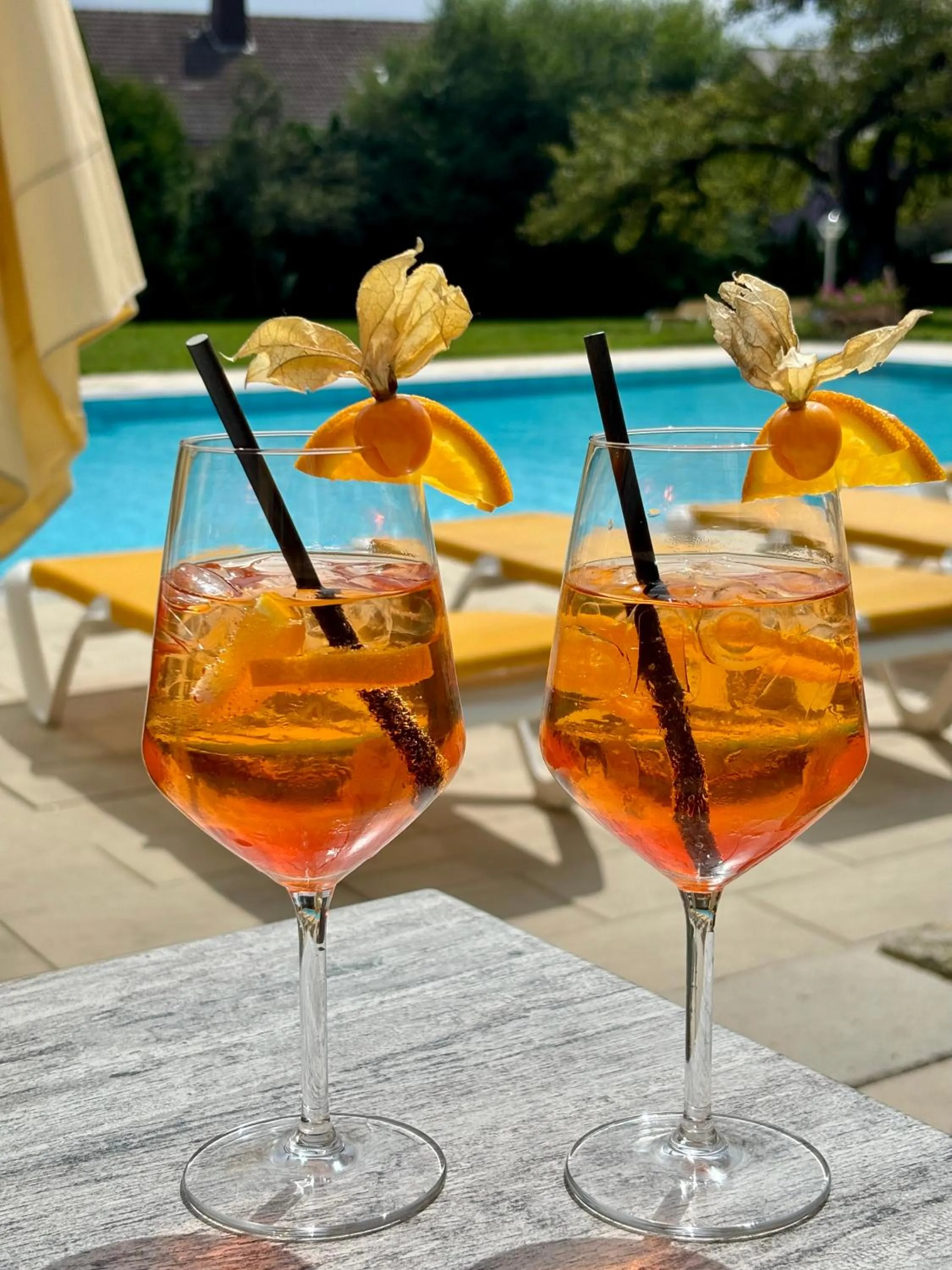 Pool view in Möhringers Schwarzwald Hotel