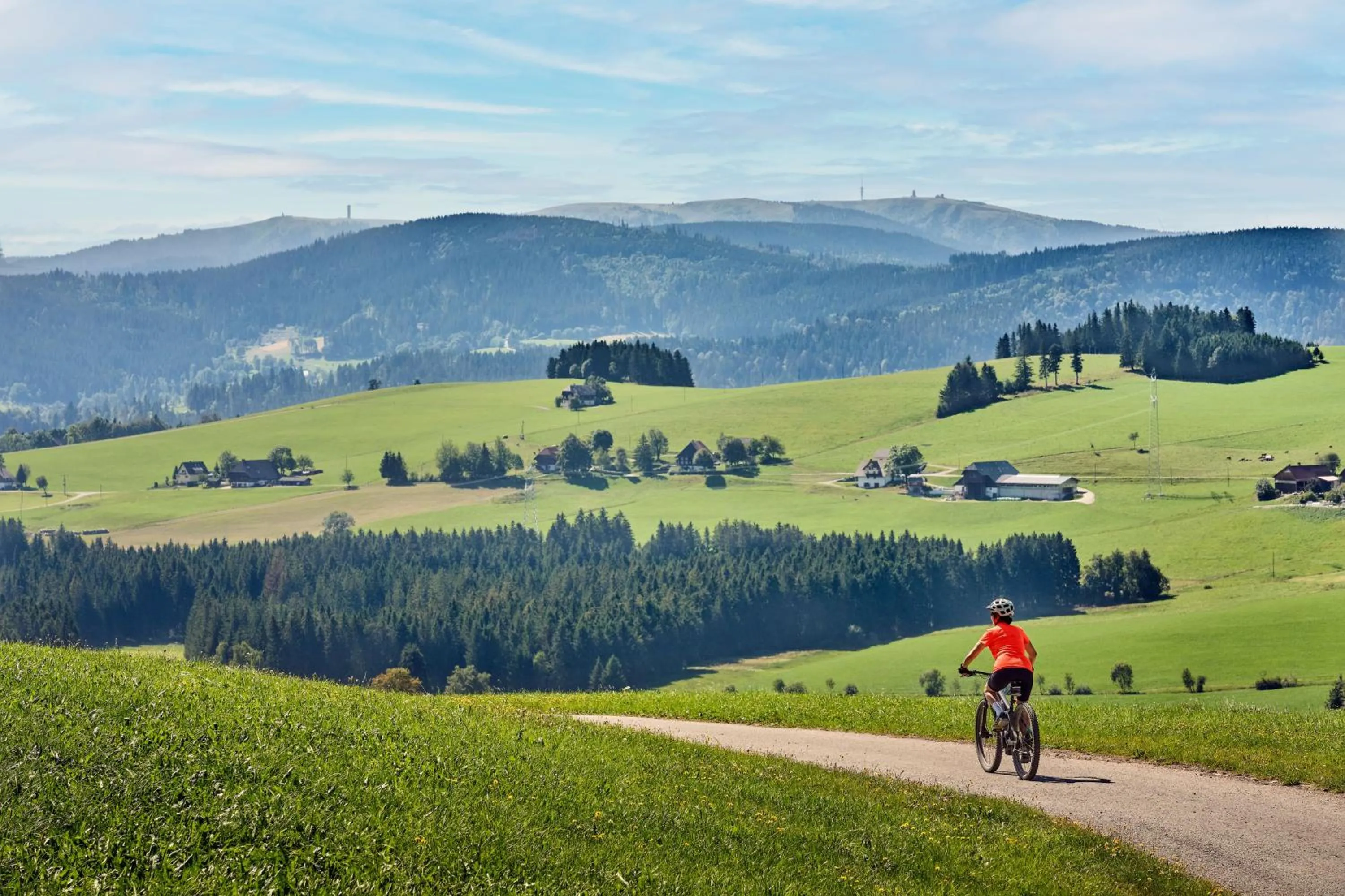 Natural landscape in Möhringers Schwarzwald Hotel