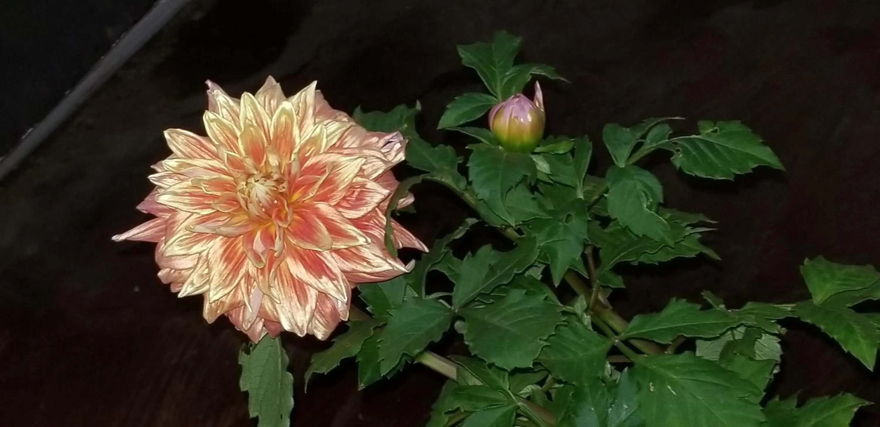 KINGS GATE Airport TRANSIT HOTEL