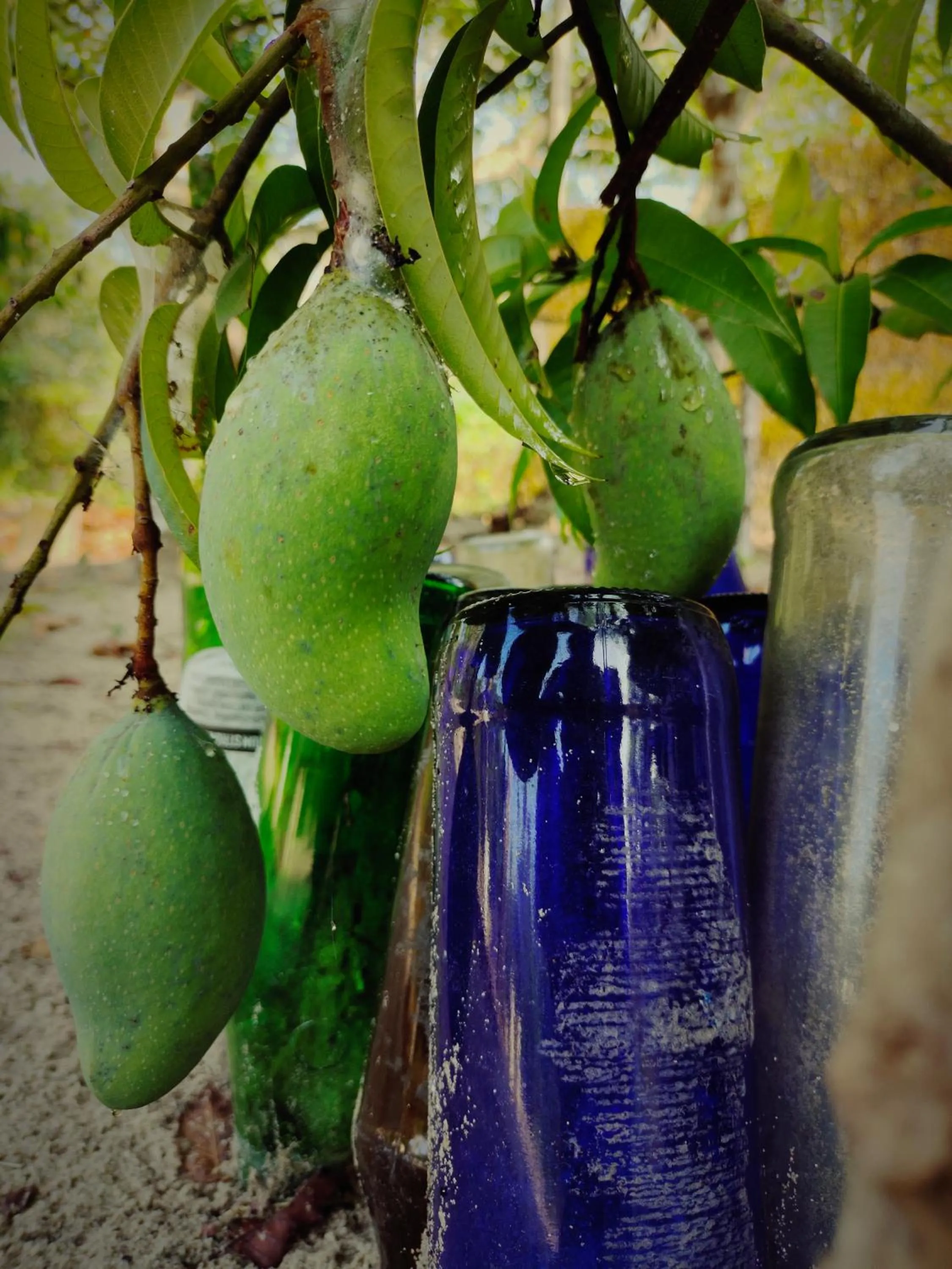 Achayans Homestay Mararikulam