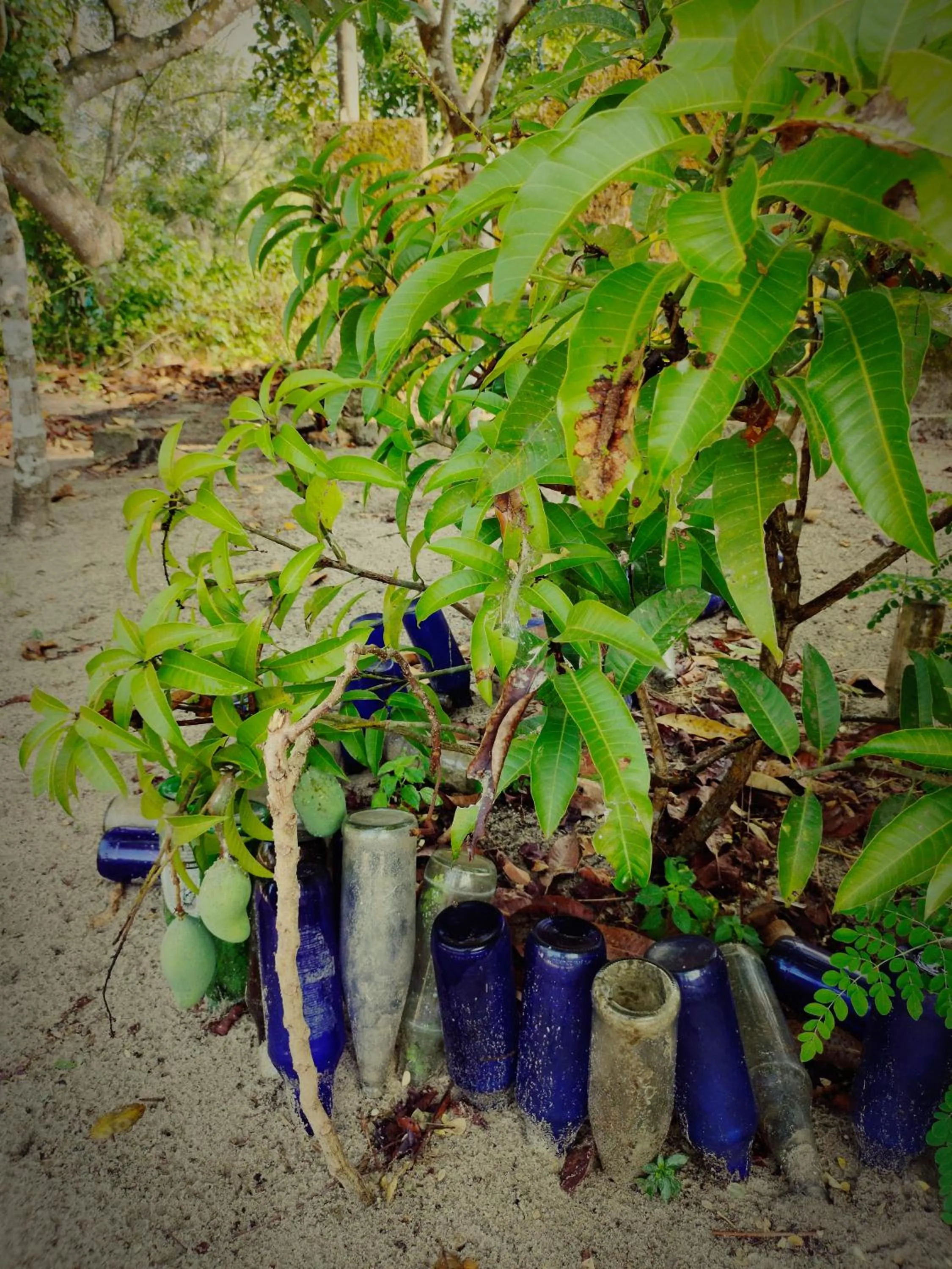 Achayans Homestay Mararikulam