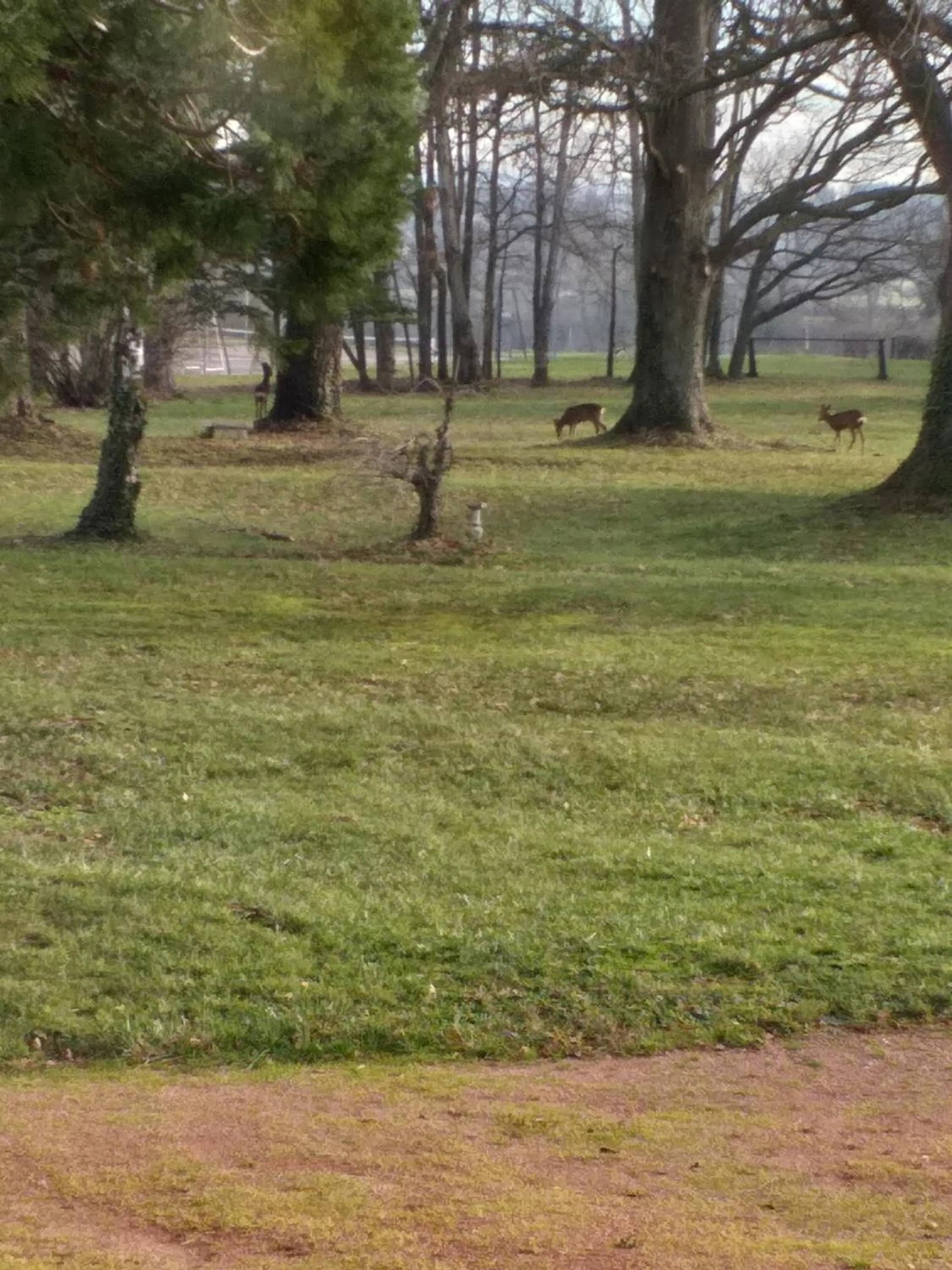Garden in DOMAINE BERENGUER