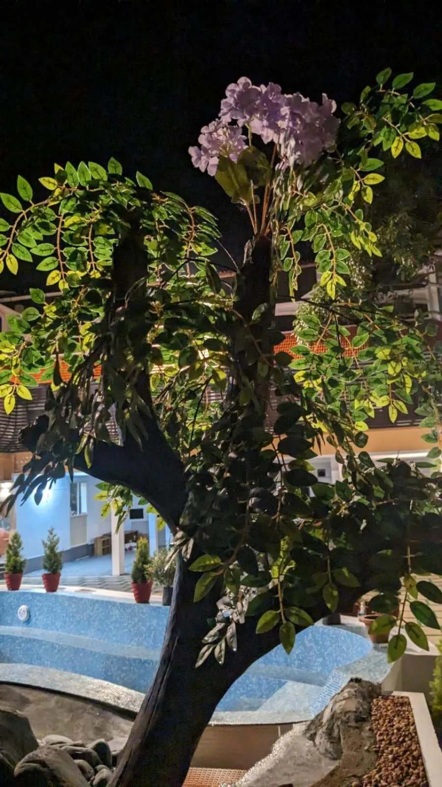 Pool view in Lake Palace Family Resort Kumarakom