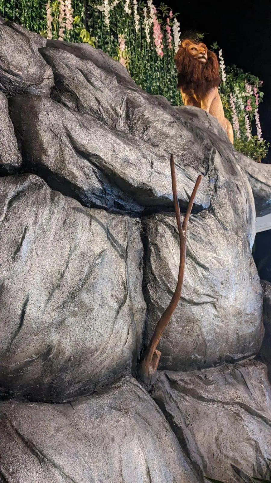 Garden in Lake Palace Family Resort Kumarakom