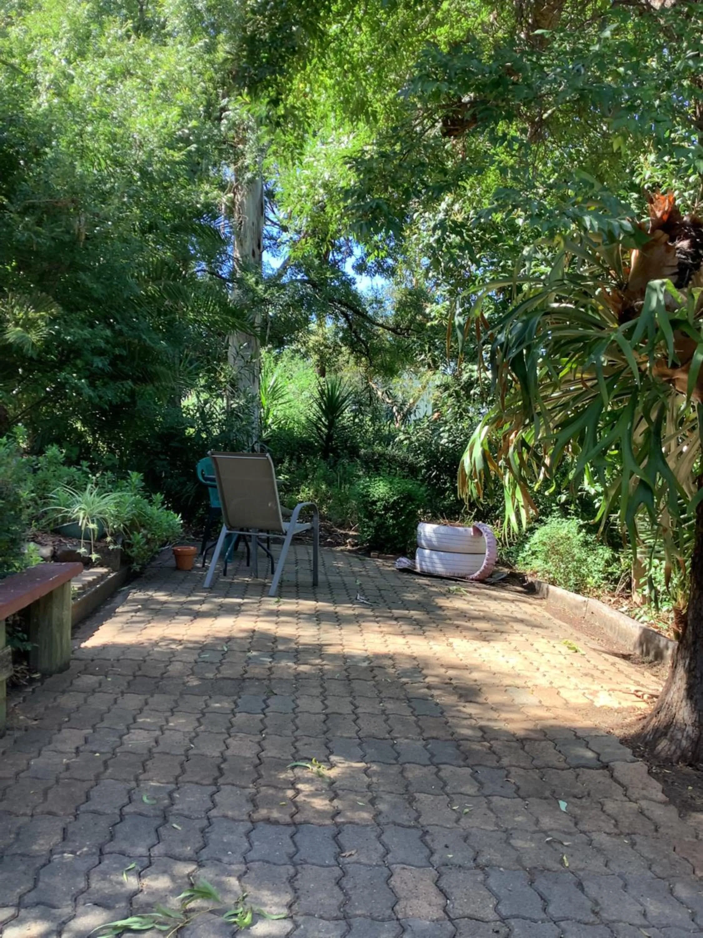 Garden in Kellys Motel Oakey