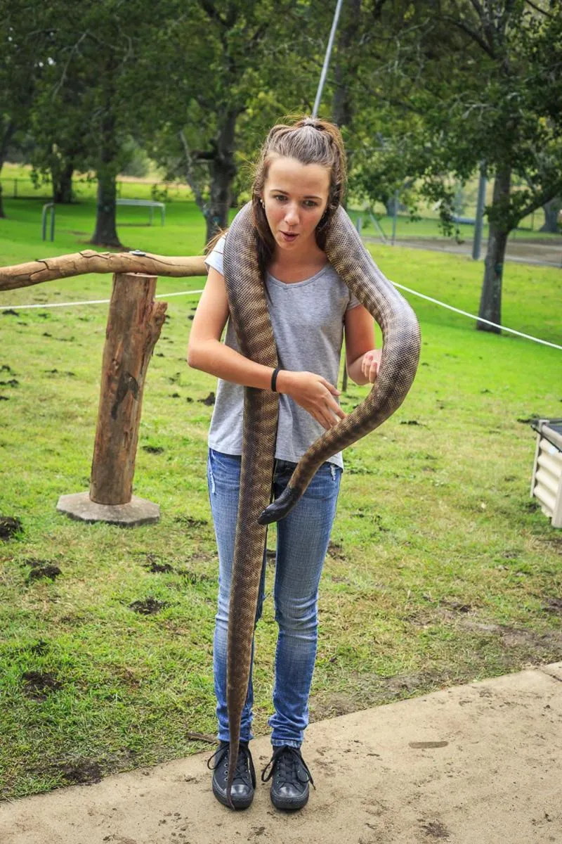 Animals in Christmas Creek Café & Cabins