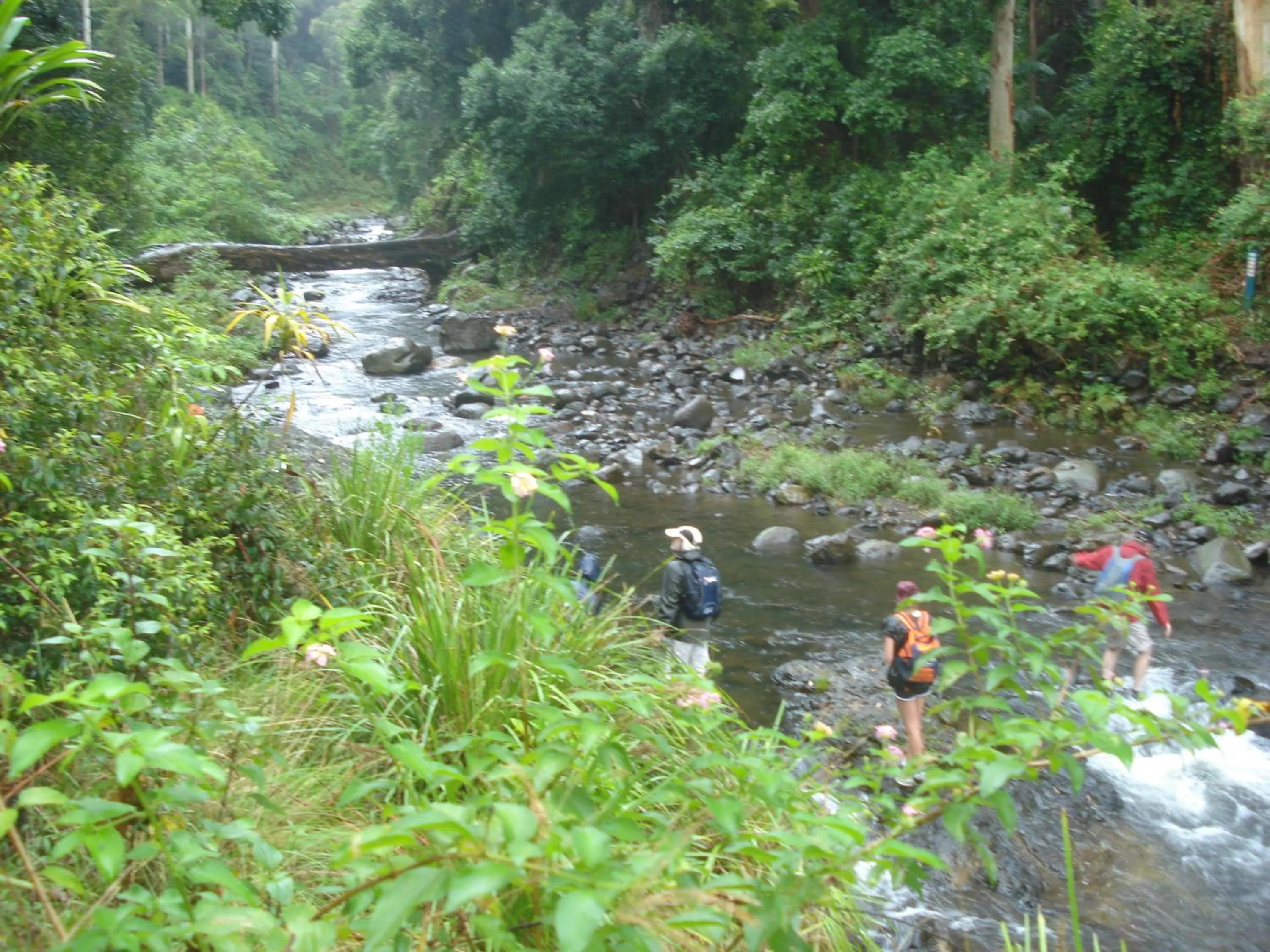 Off site in Christmas Creek Café & Cabins