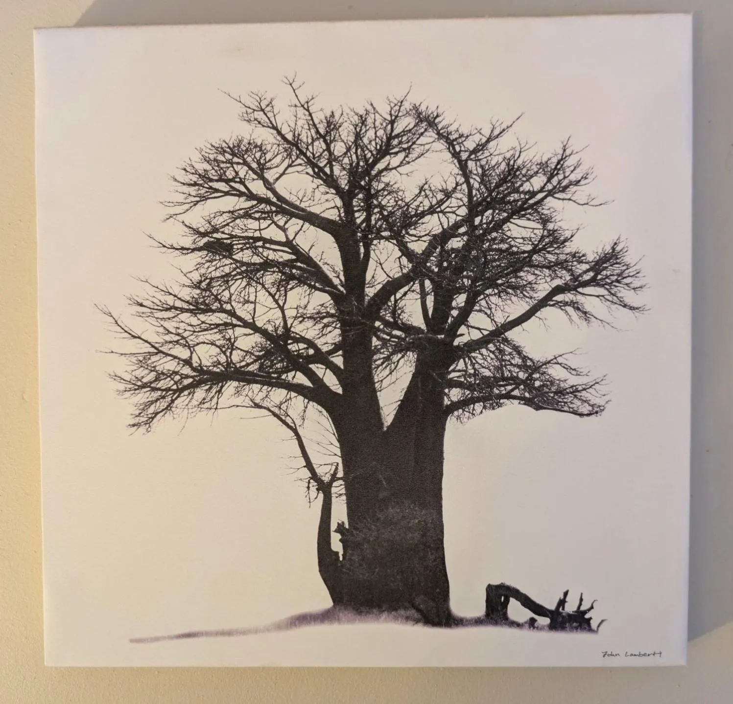 Decorative detail in Amarachi Guesthouse