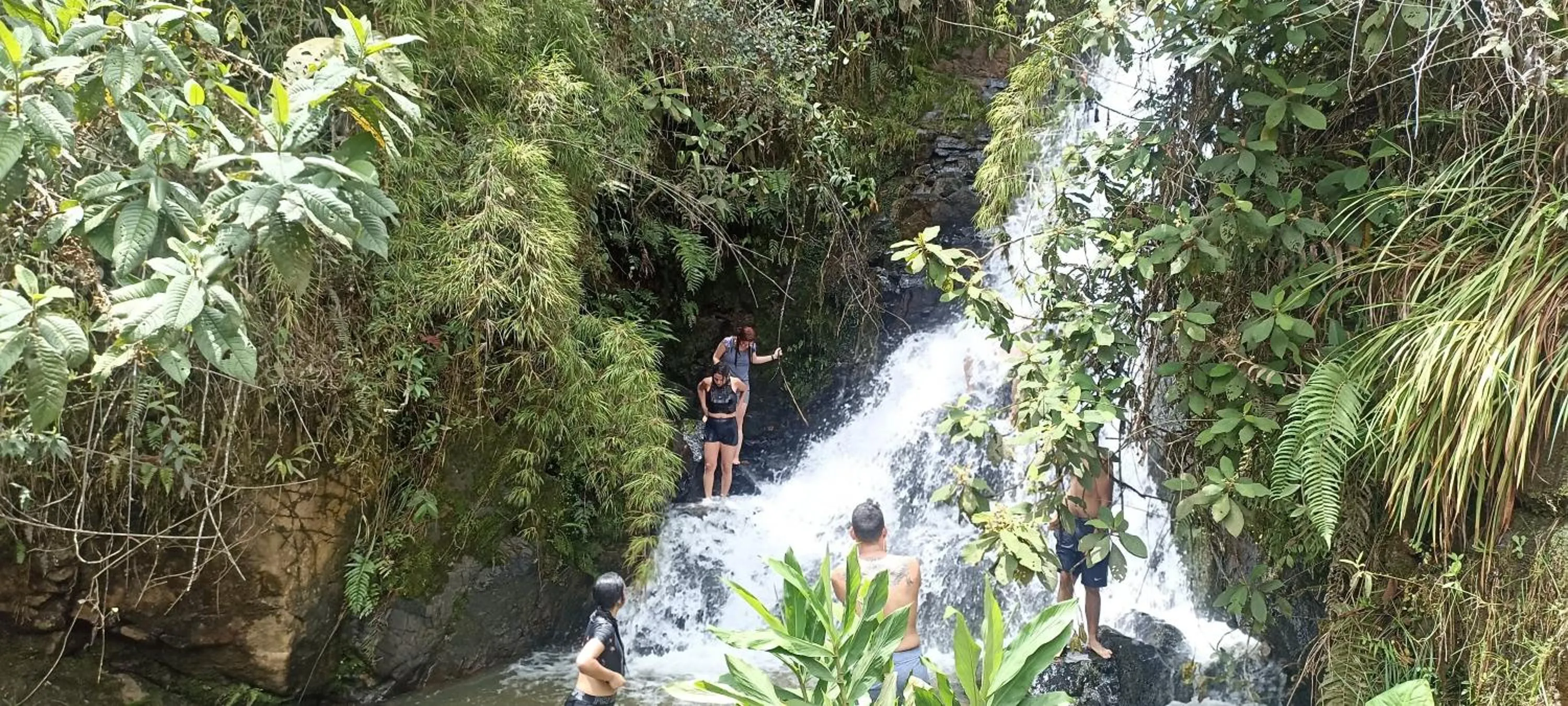 Swimming pool in BioHotel Ecohouse