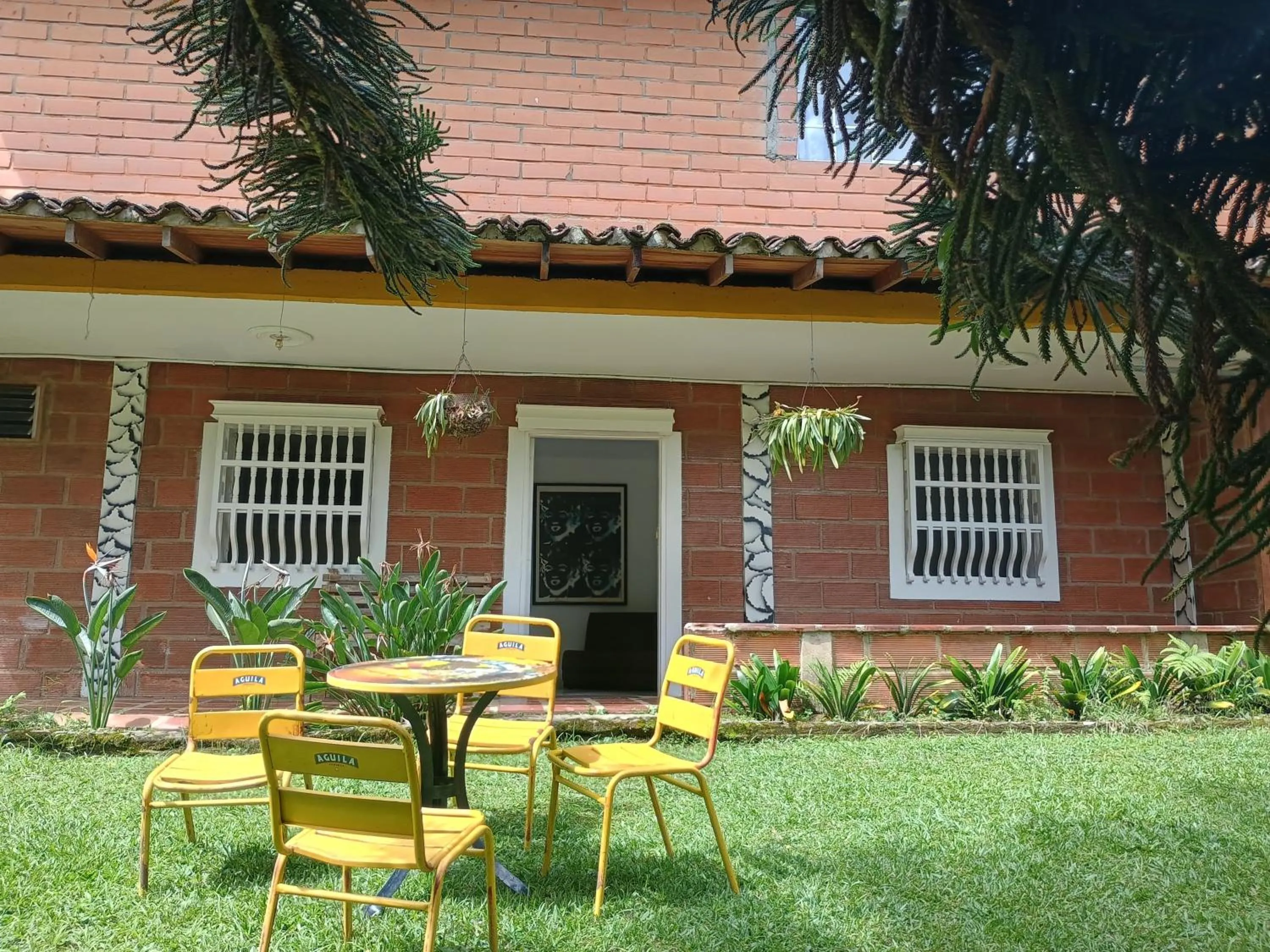 Patio in BioHotel Ecohouse