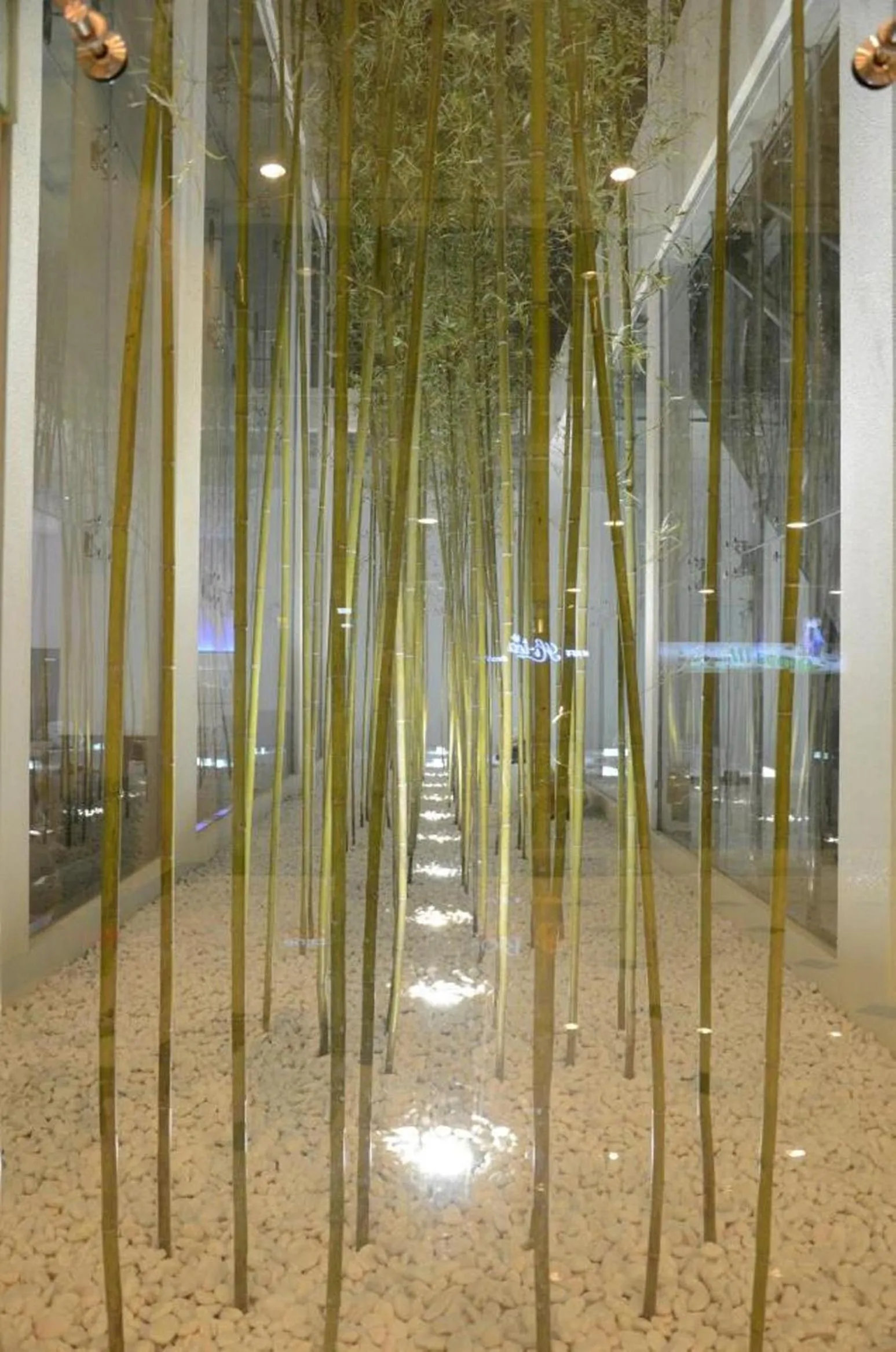 Garden in Grand Alora Hotel