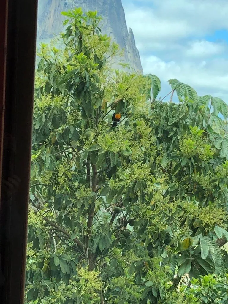 Flat Vista Azul Hotel