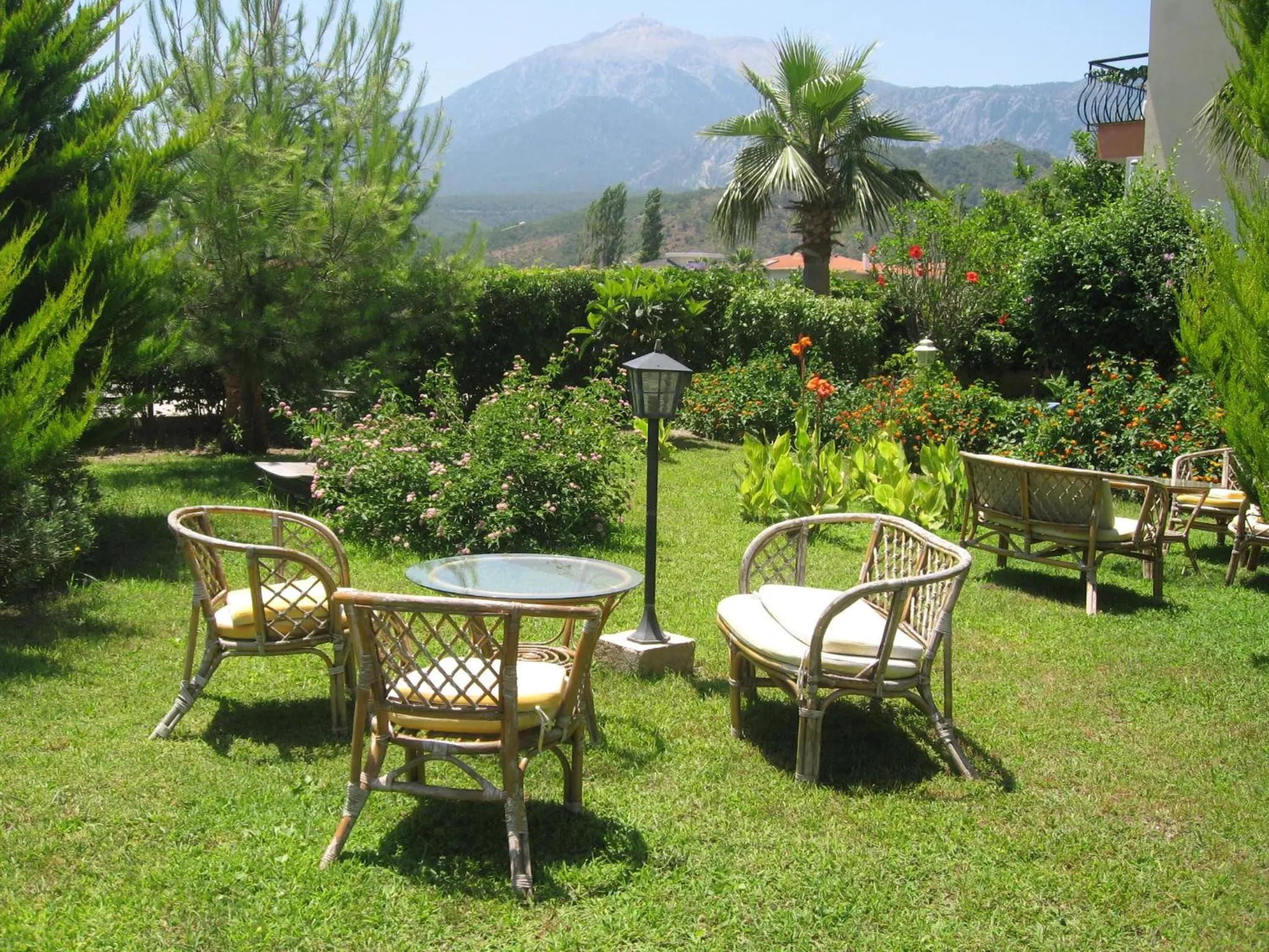 Garden in MG Moms Hotel