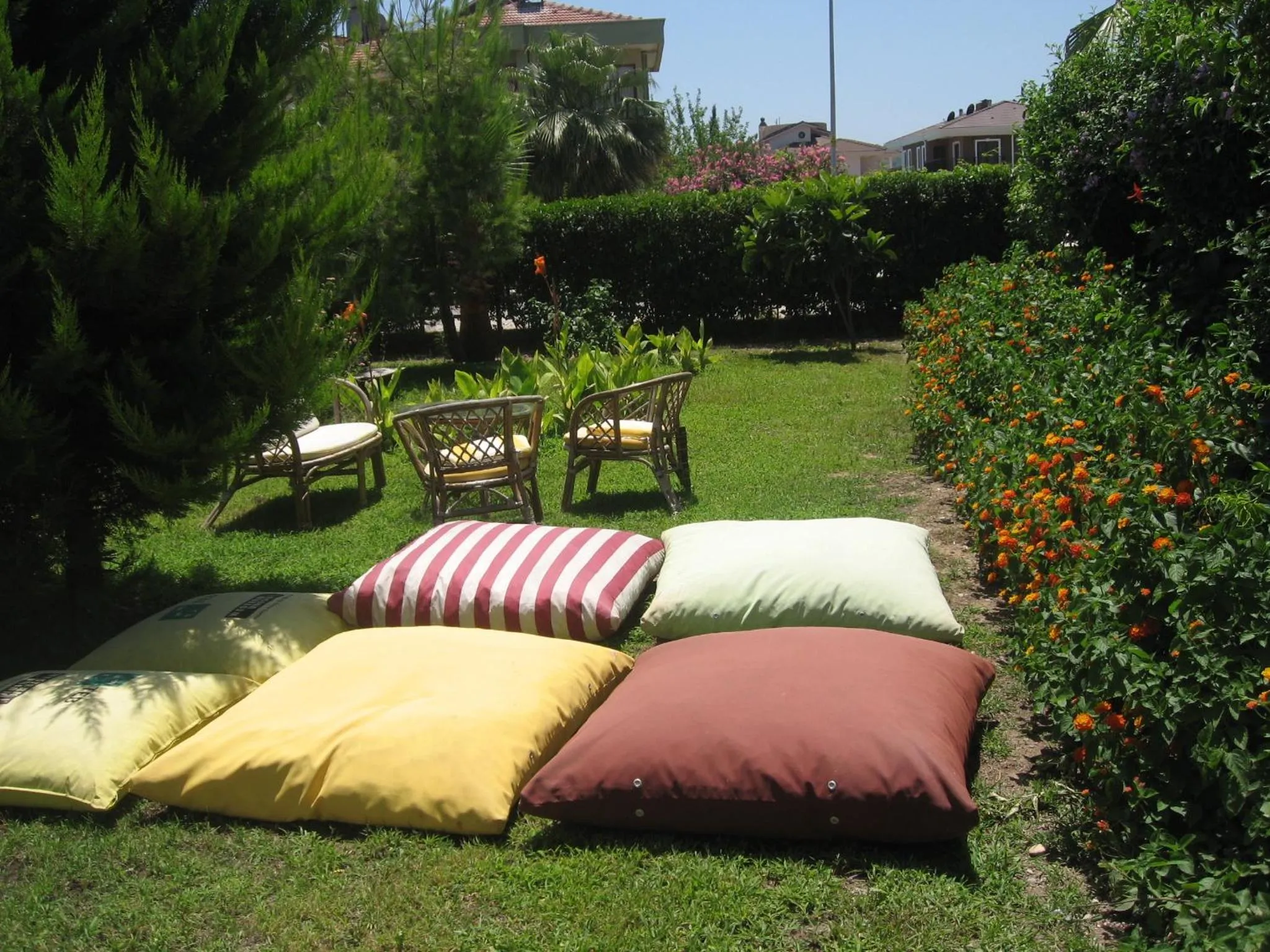 Garden in MG Moms Hotel