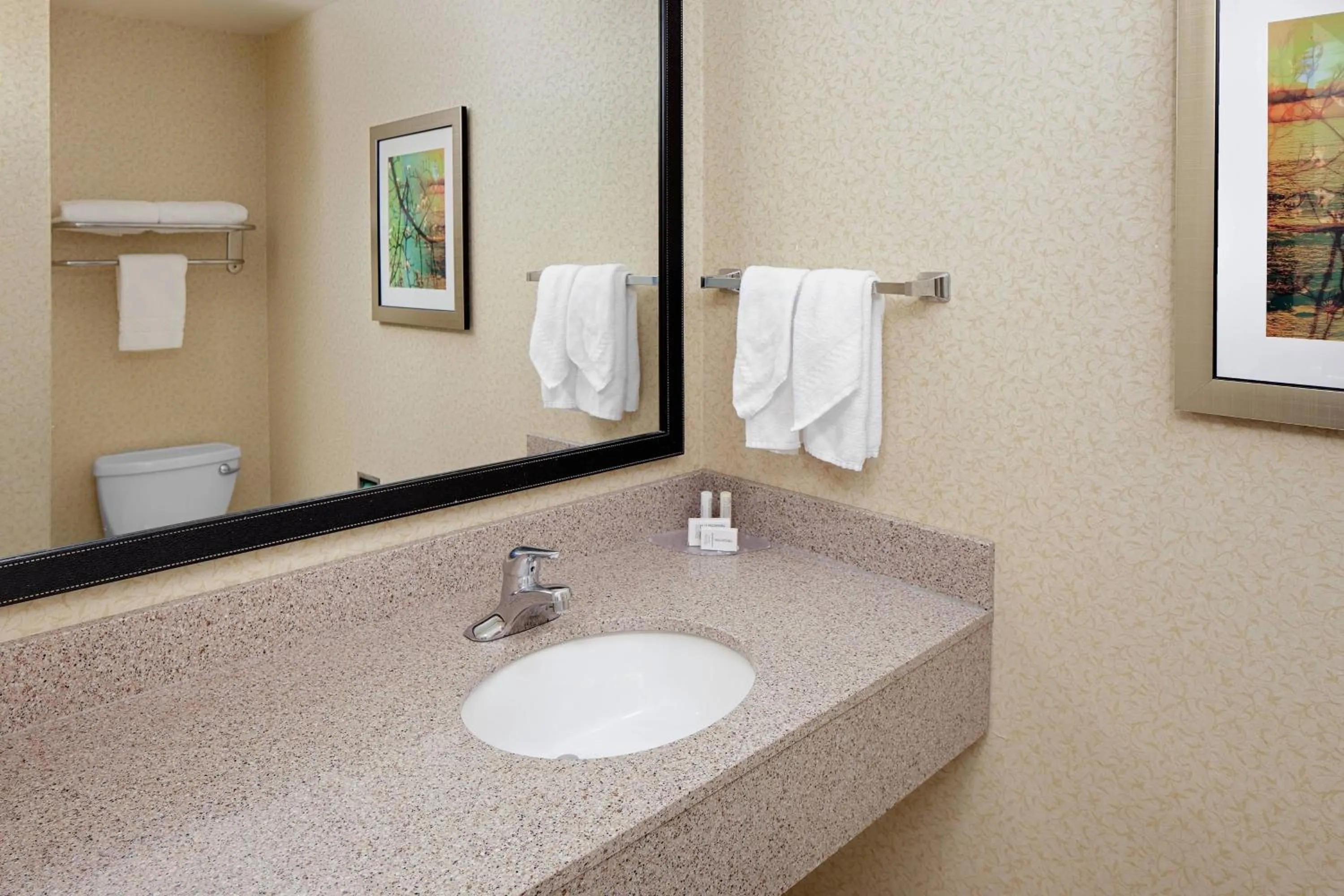 Bathroom in Fairfield Inn & Suites by Marriott Detroit Metro Airport Romulus