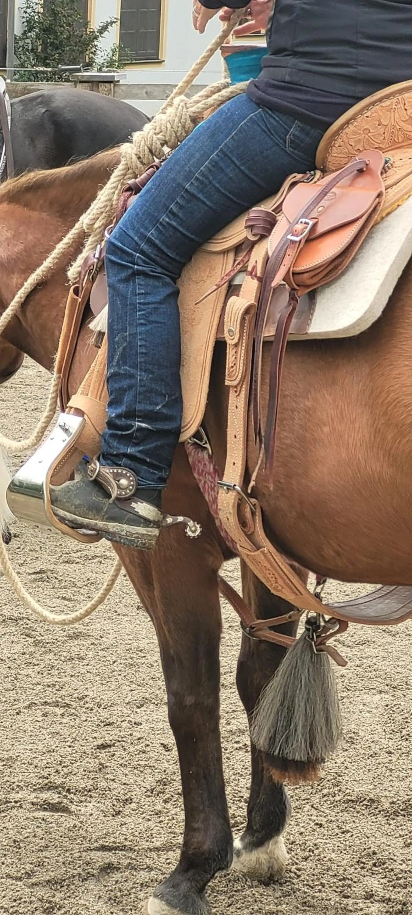 Horse-riding in Der Blankhof "Back to Roots"