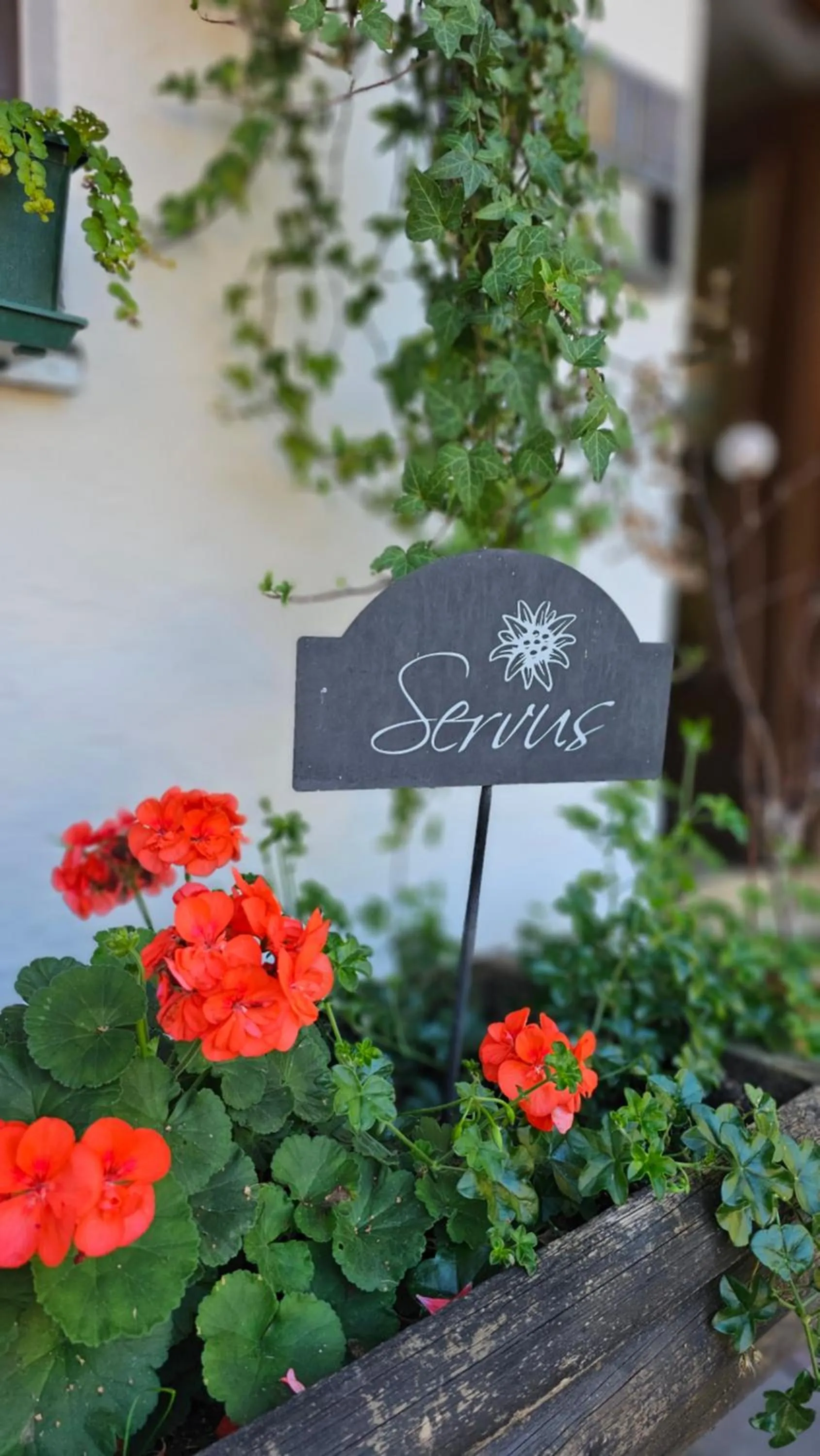 Garden in Der Blankhof "Back to Roots"