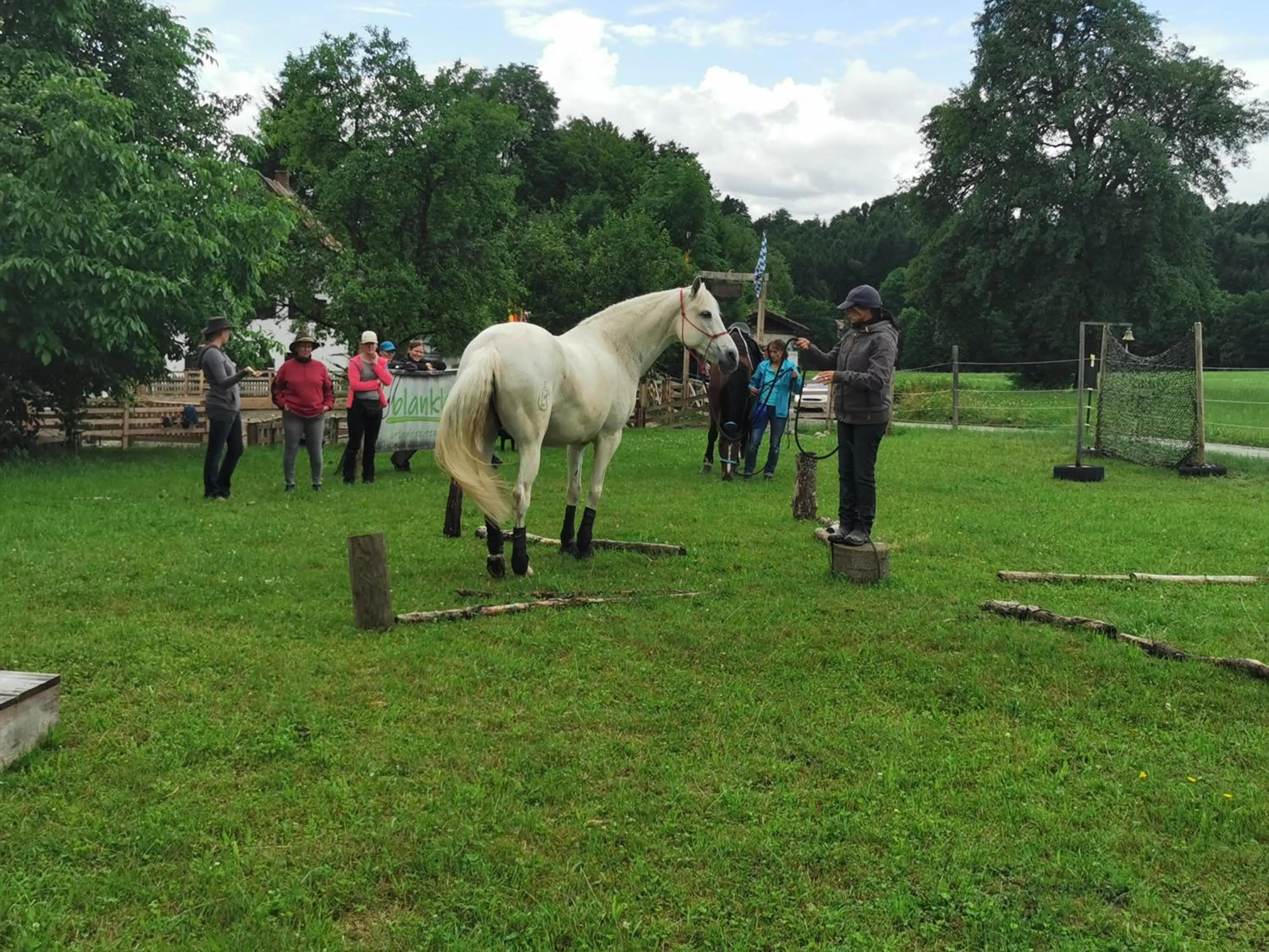 Horse-riding in Der Blankhof "Back to Roots"