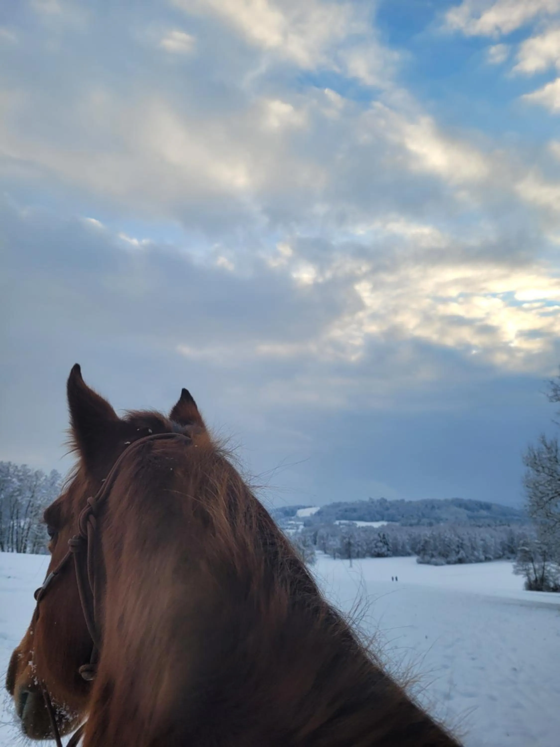 Winter in Der Blankhof "Back to Roots"
