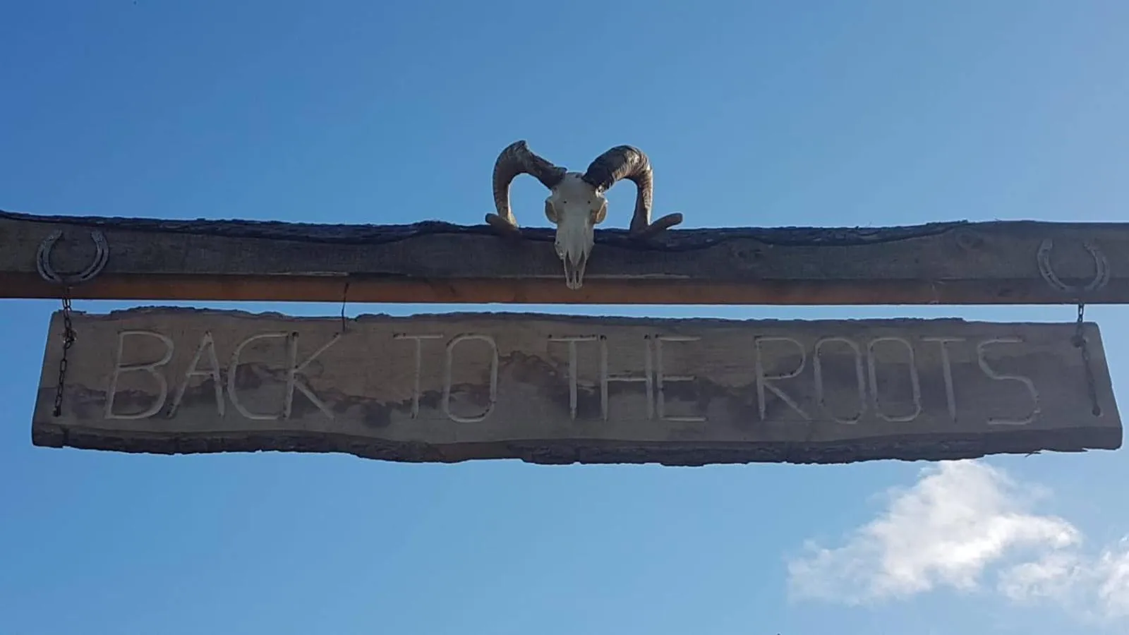 Logo/Certificate/Sign in Der Blankhof "Back to Roots"