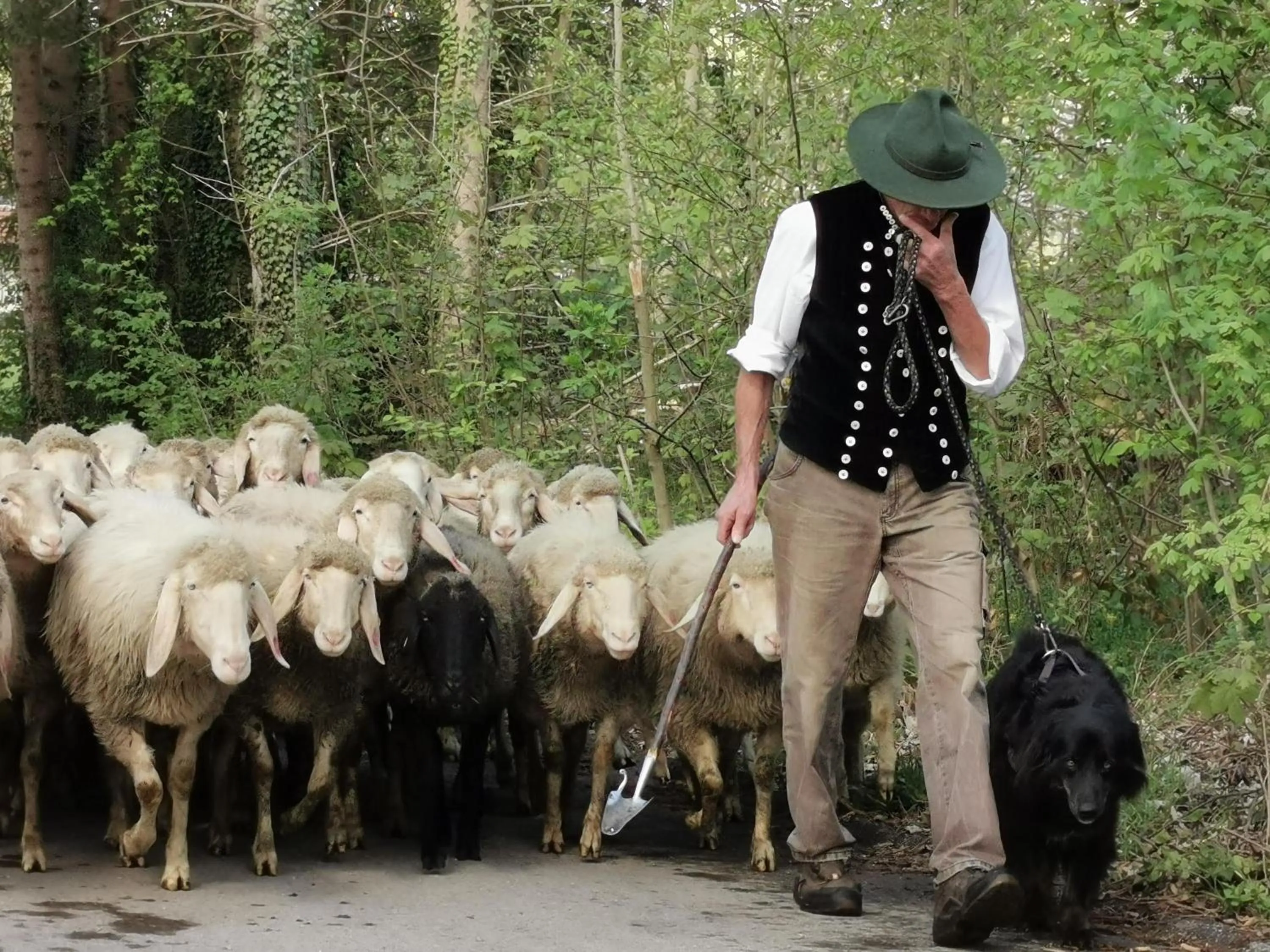 Animals in Der Blankhof "Back to Roots"