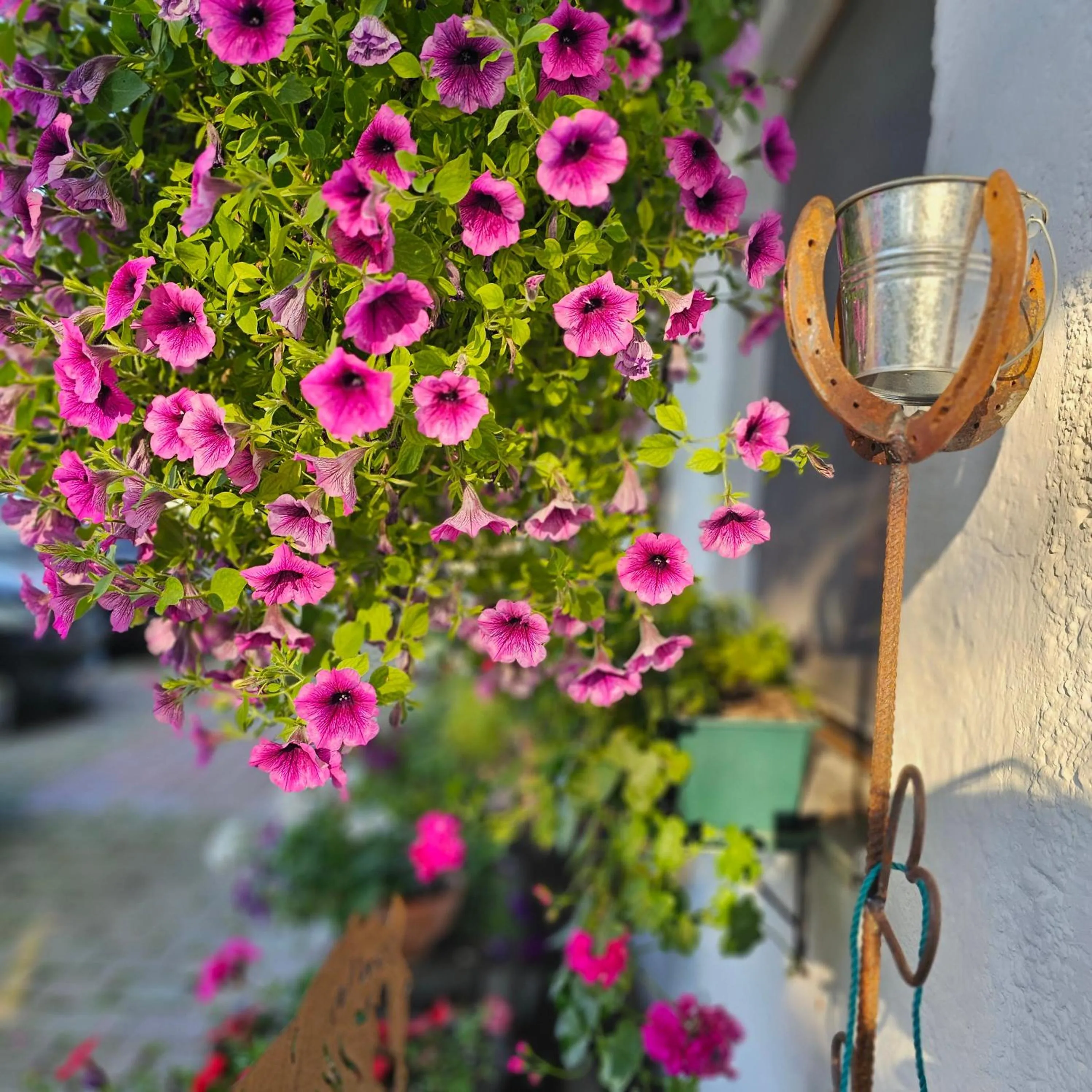 Garden in Der Blankhof "Back to Roots"